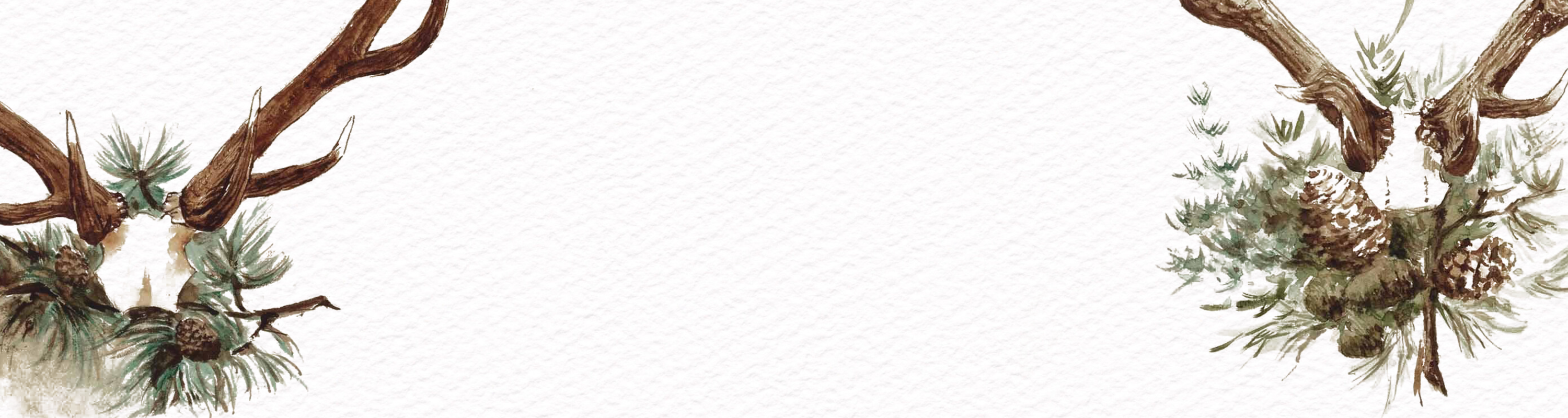 Trophy Antler Illustrations