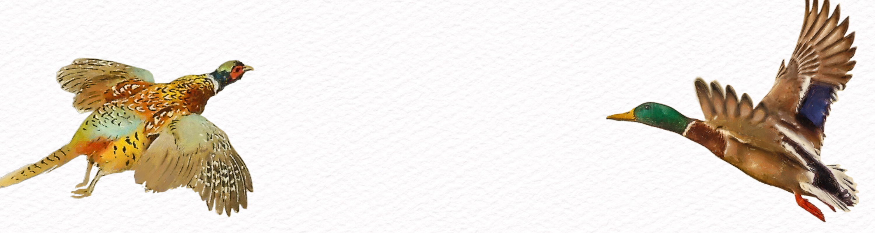 Hunting Field Guides