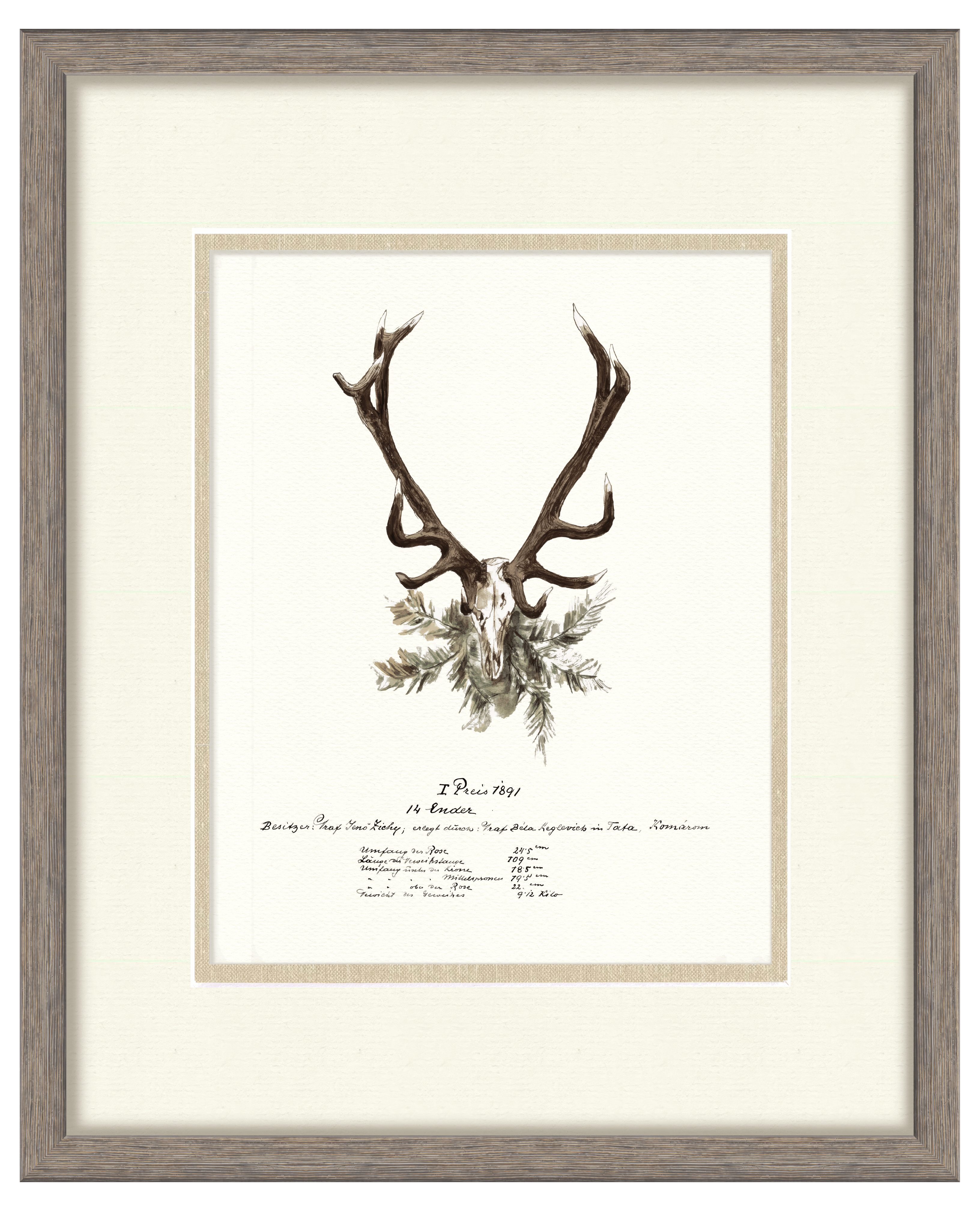 Trophy Antler Illustrations - 1891