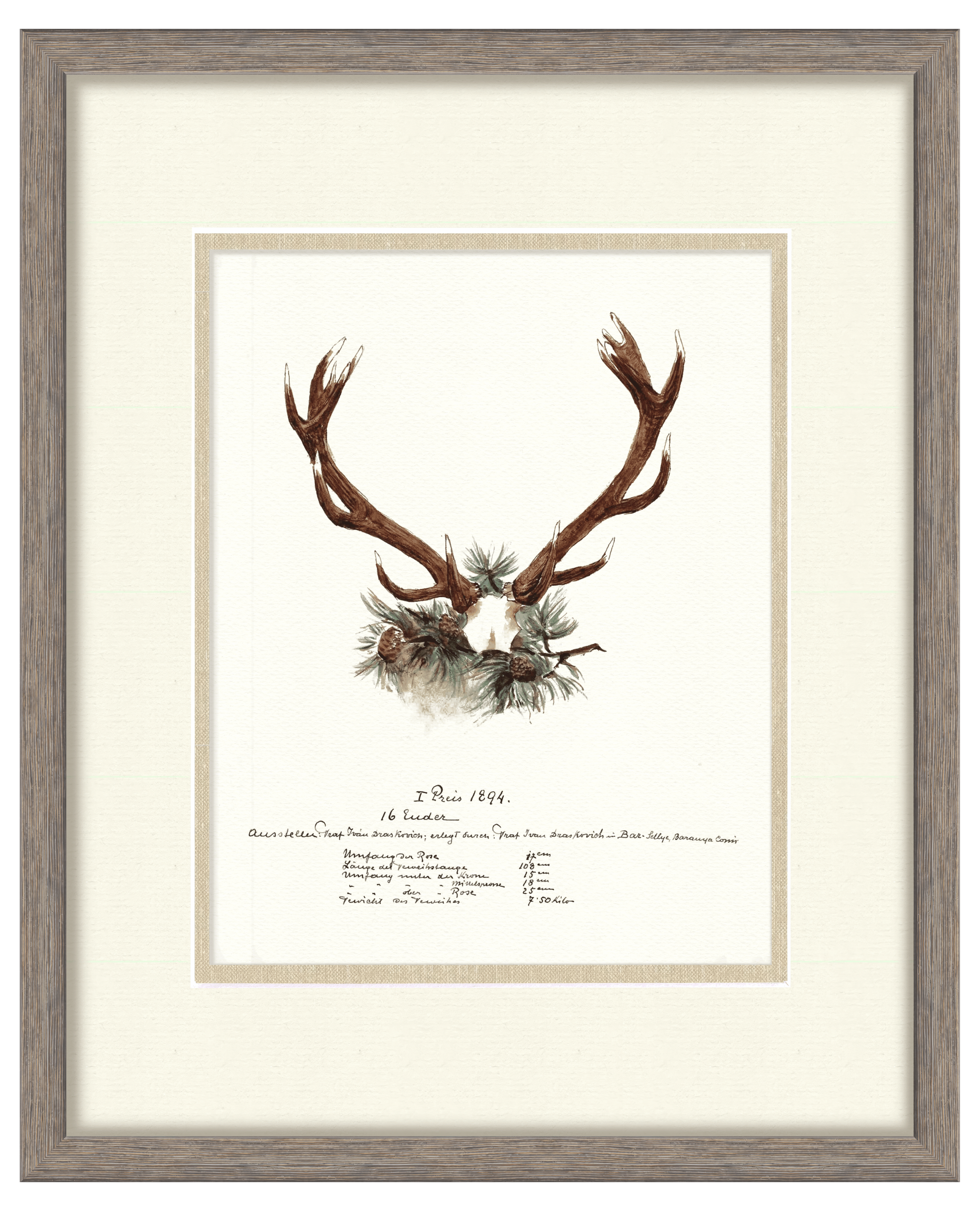 Trophy Antler Illustrations - 1894