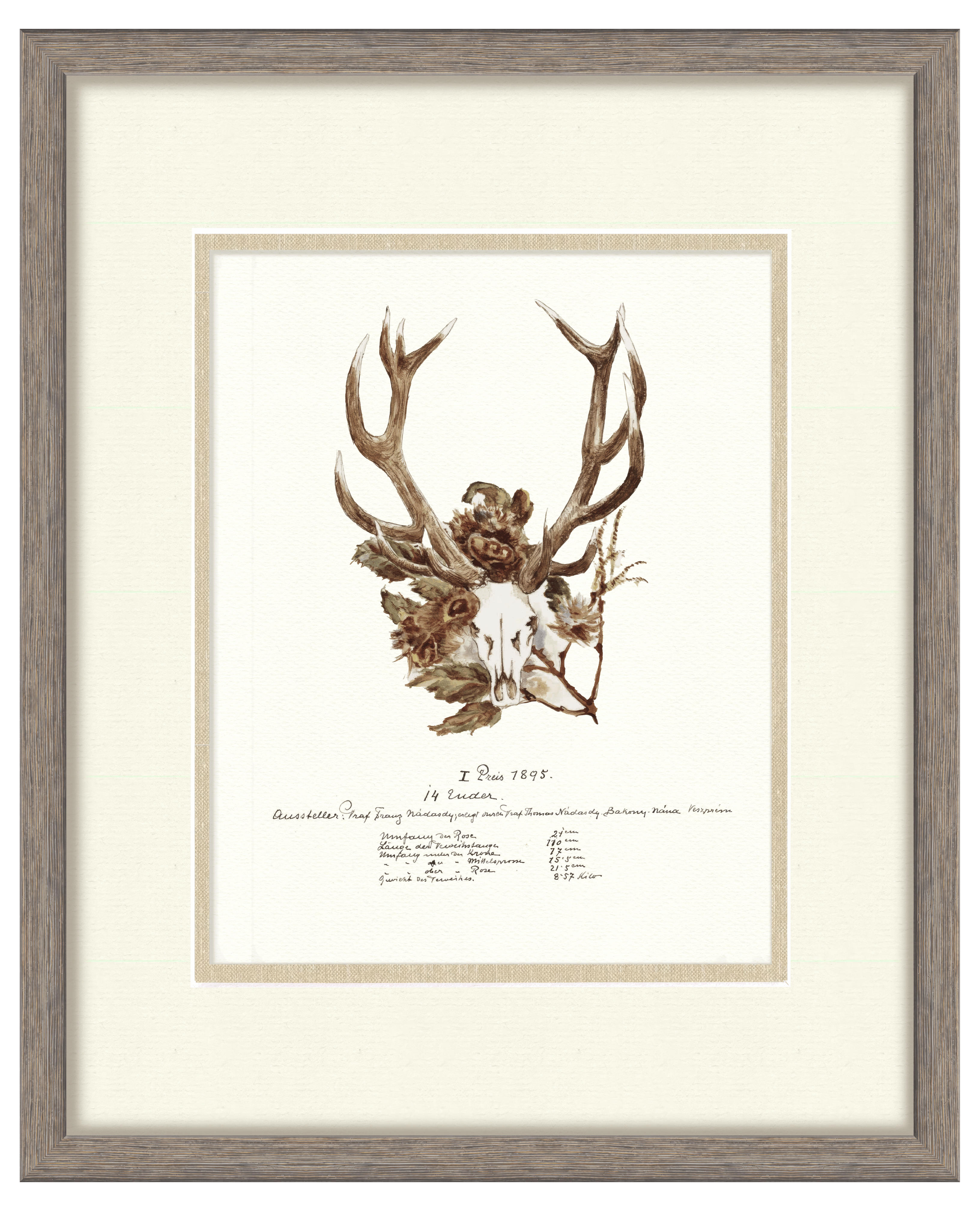 Trophy Antler Illustrations - 1891