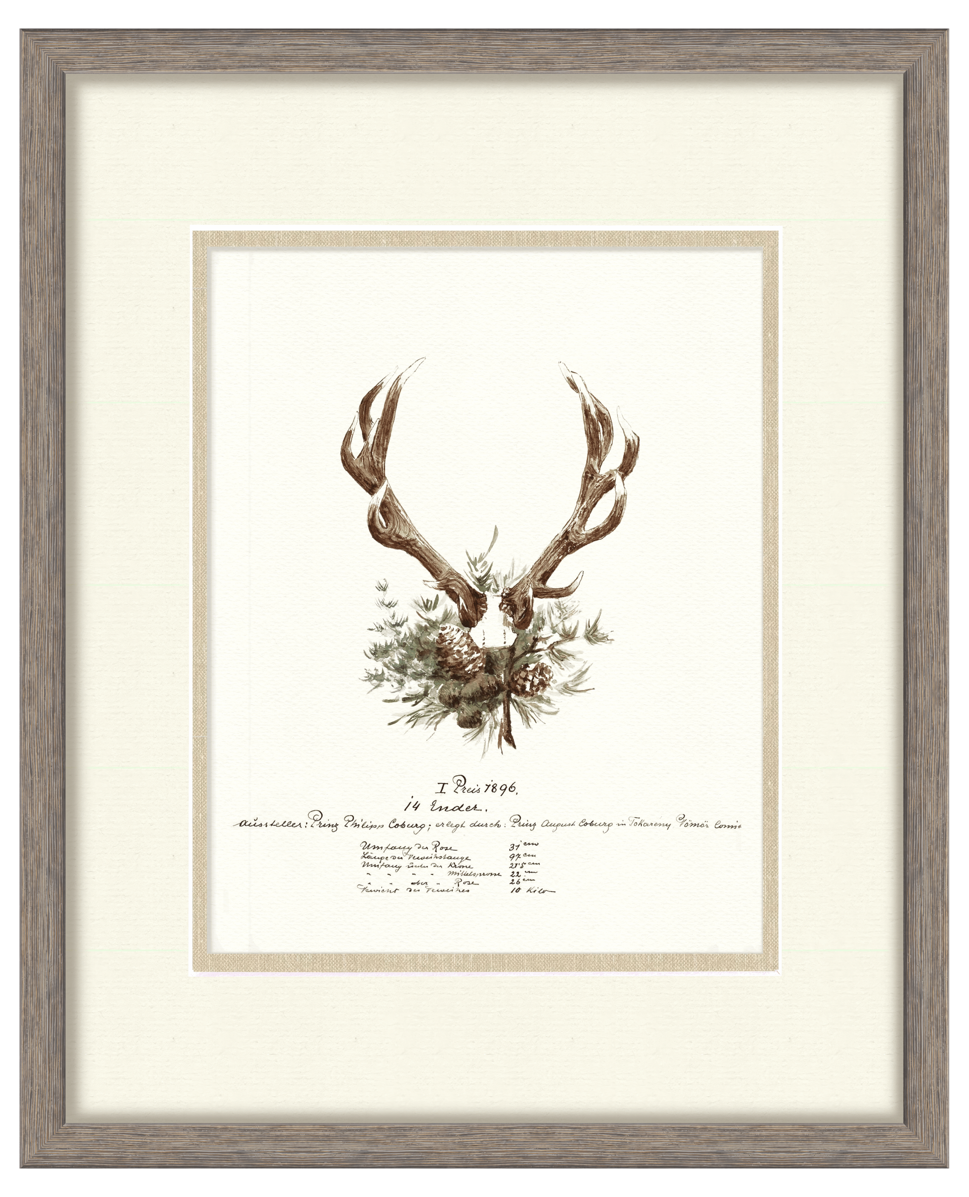 Trophy Antler Illustrations - 1896