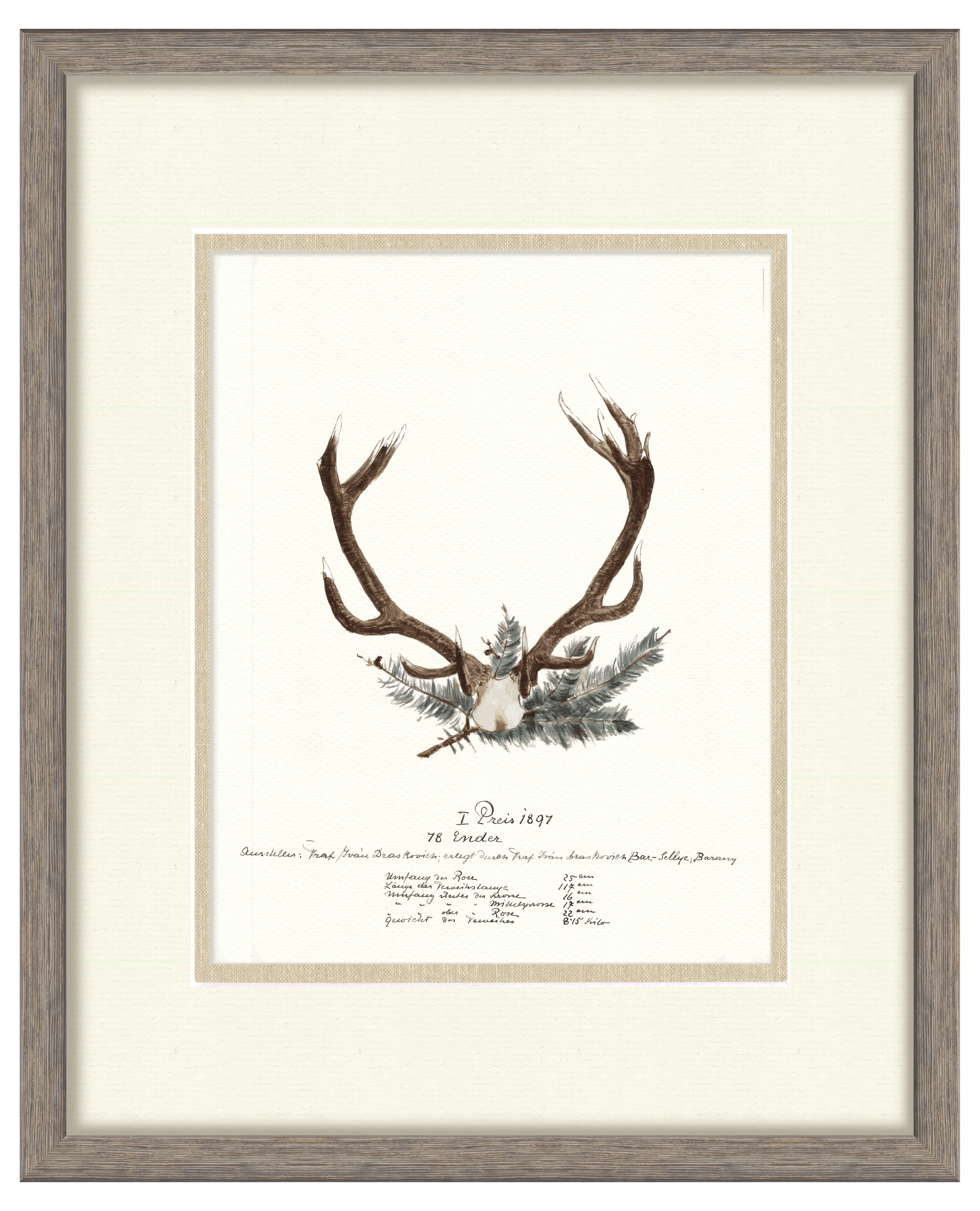 Trophy Antler Illustrations - 1897