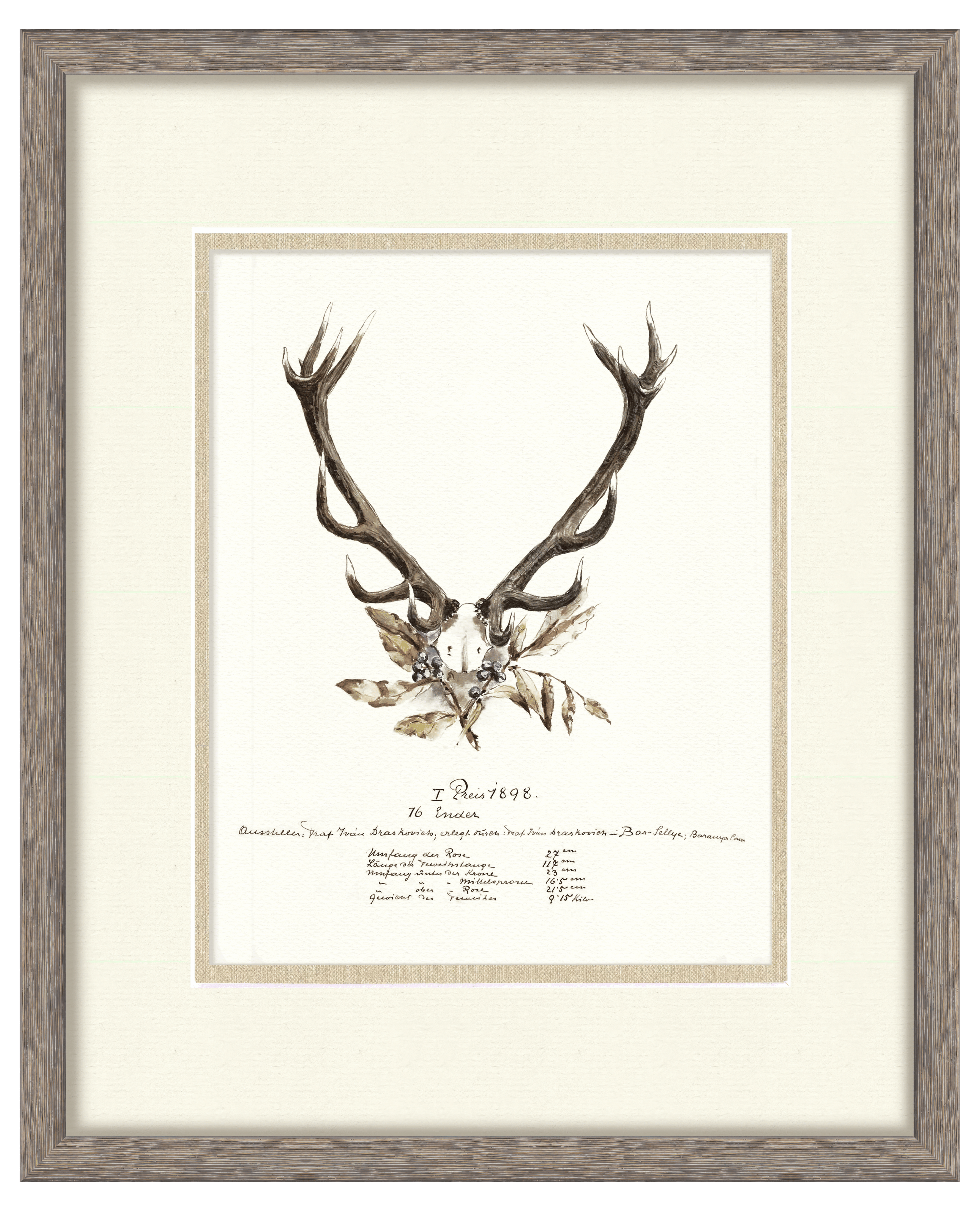 Trophy Antler Illustrations - 1898