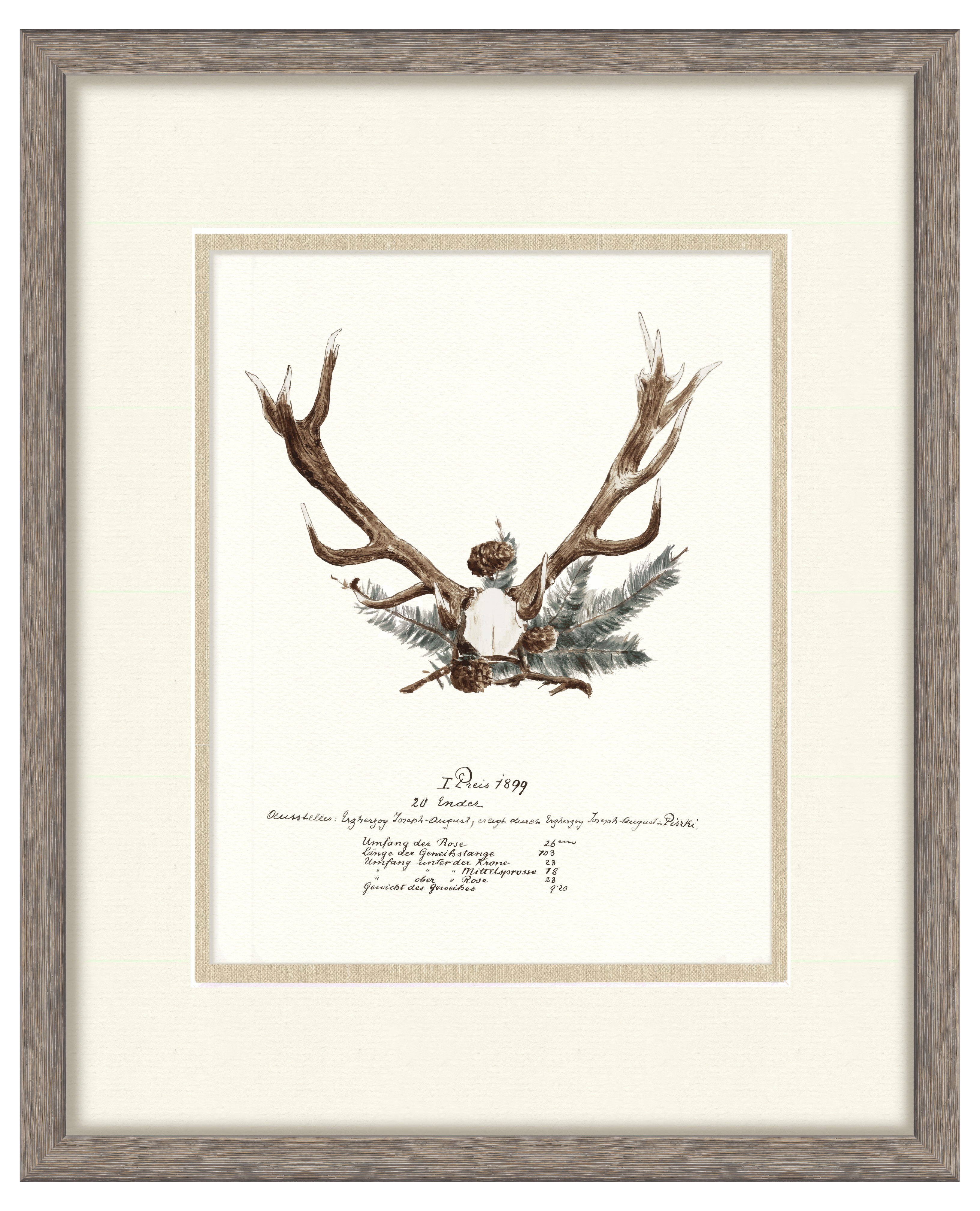 Trophy Antler Illustrations - 1899