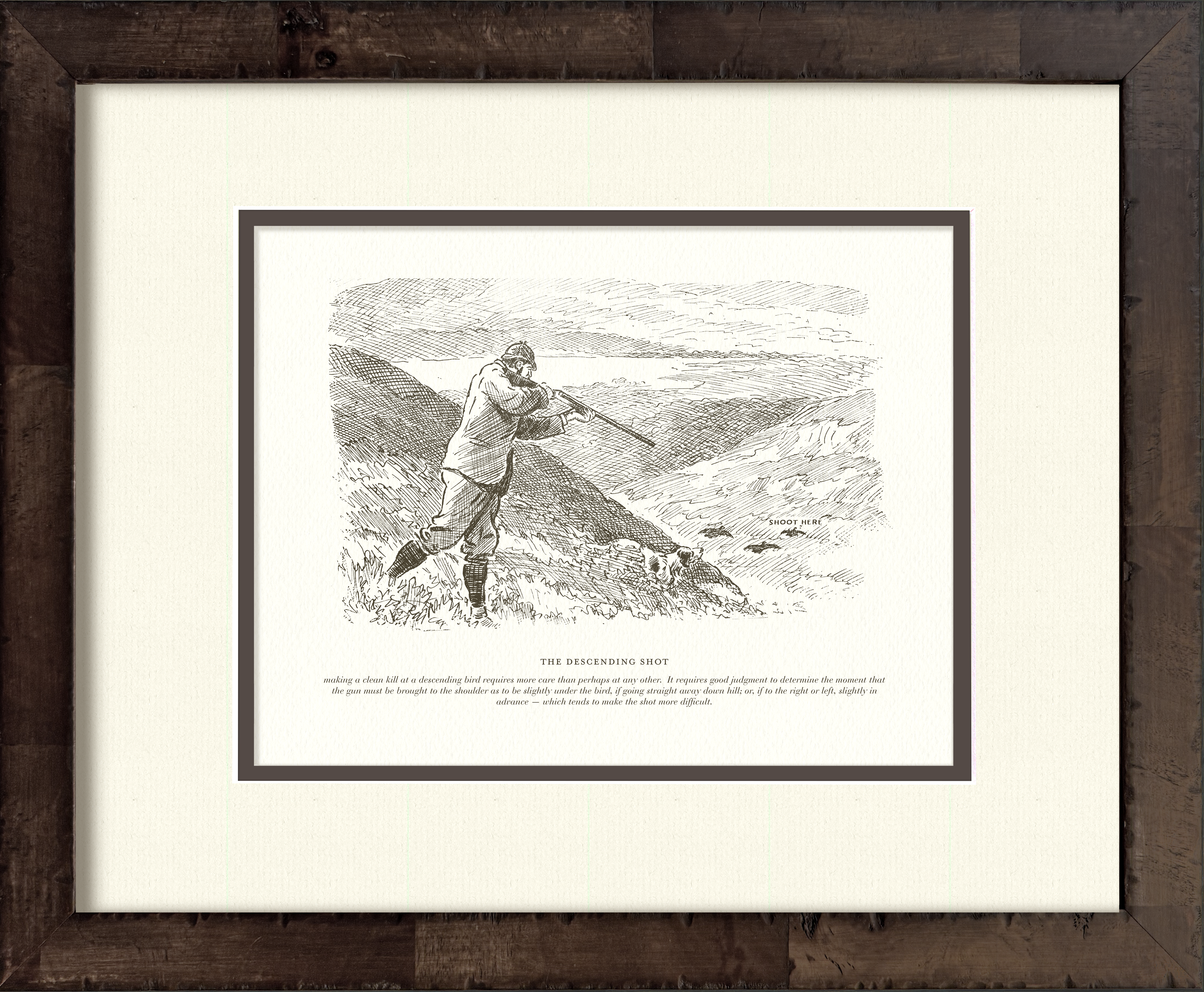 The Descending Shot — early 20th-century vintage sport shooting illustration