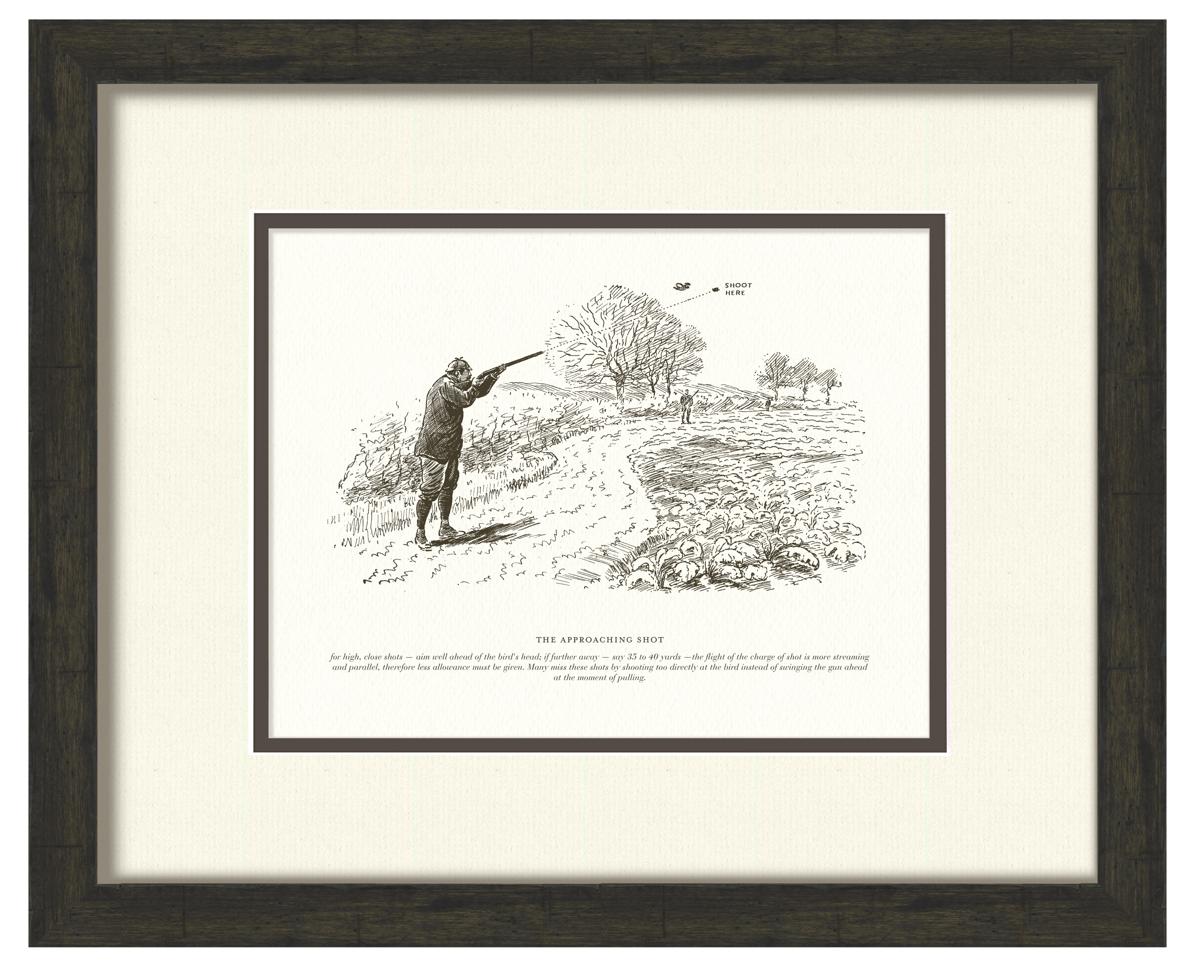 Sport Shooting Illustrations - Curated Set of 4