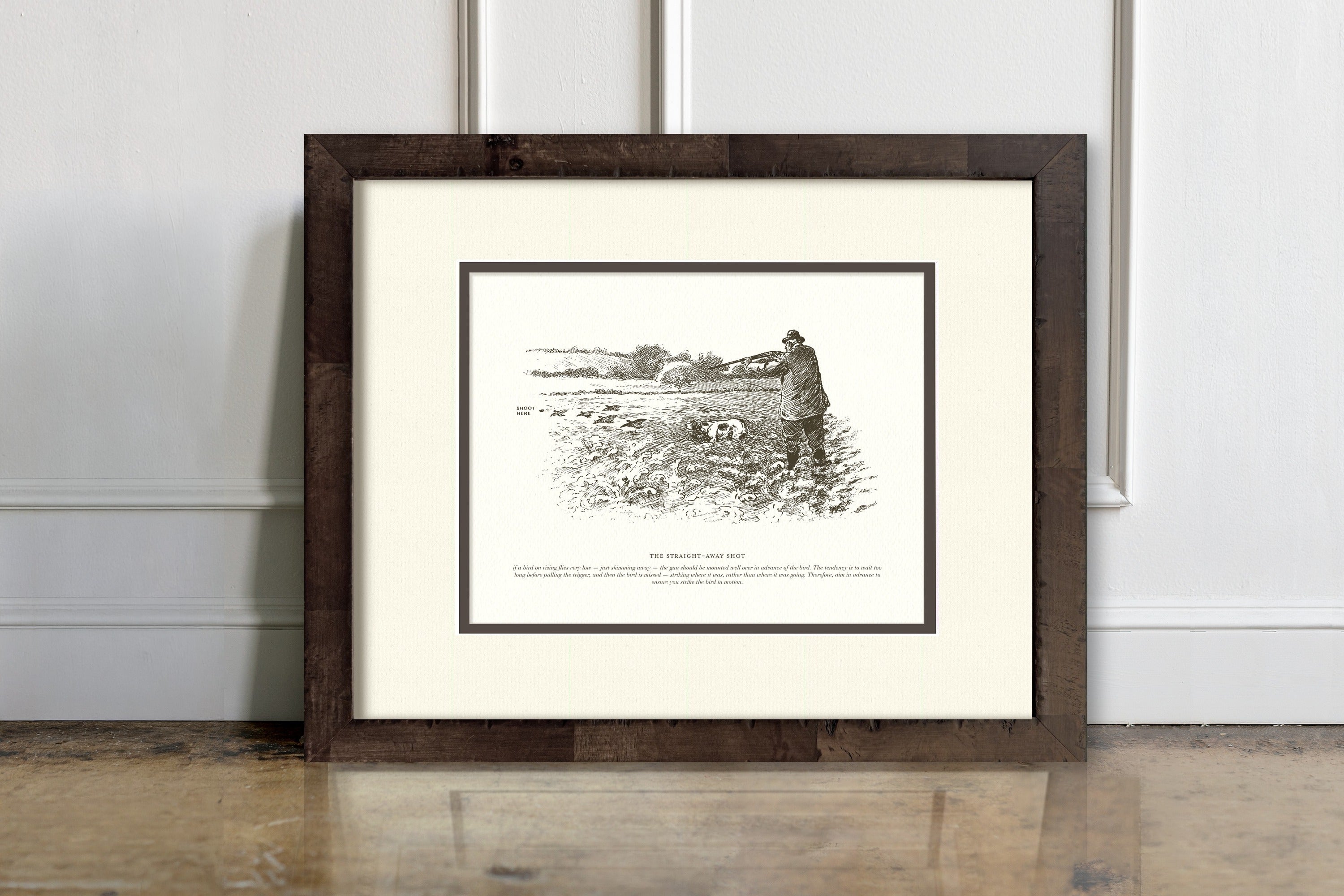 Sport Shooting Illustrations - The Straight-Away Shot