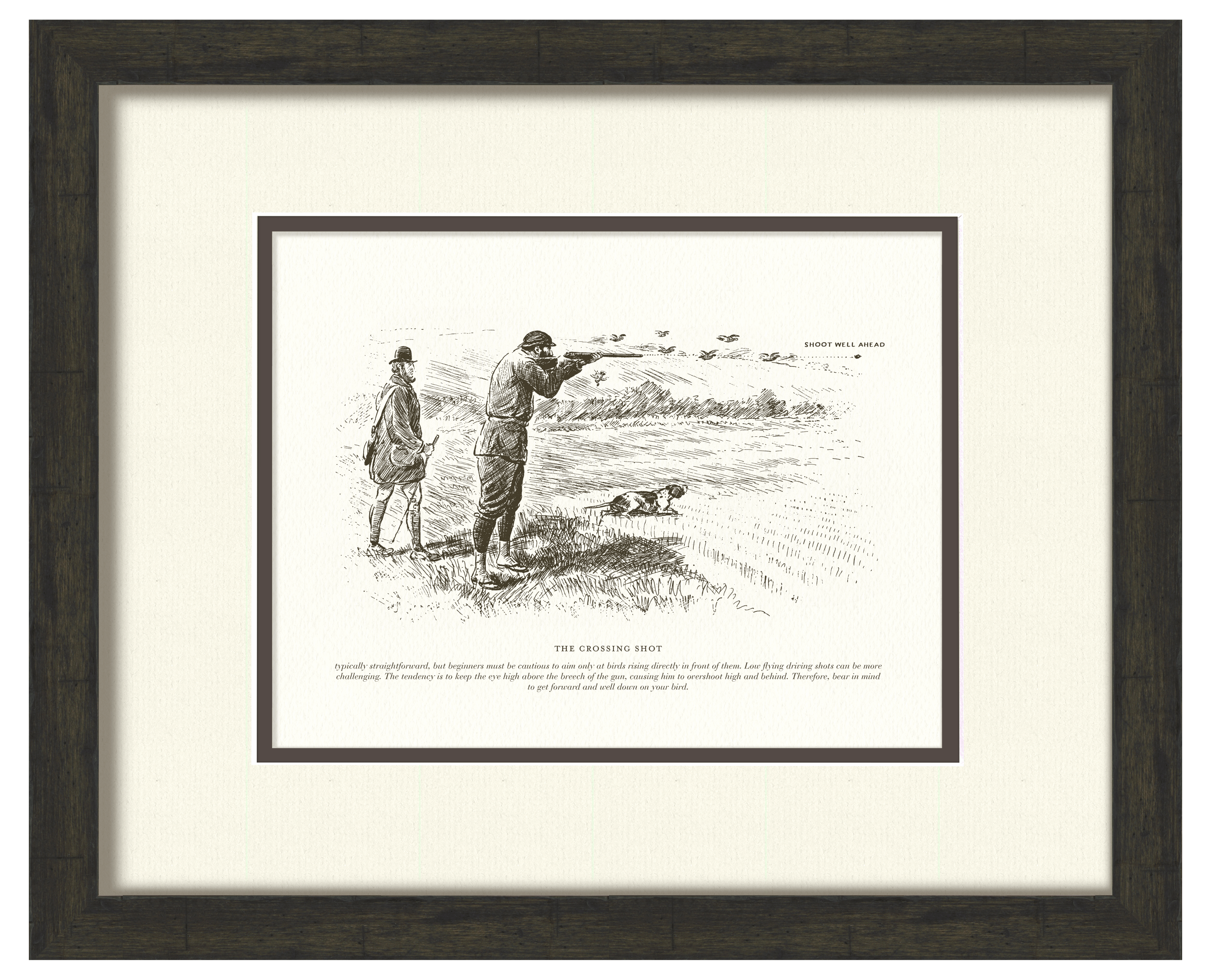 Sport Shooting Illustrations - Full Set of 6