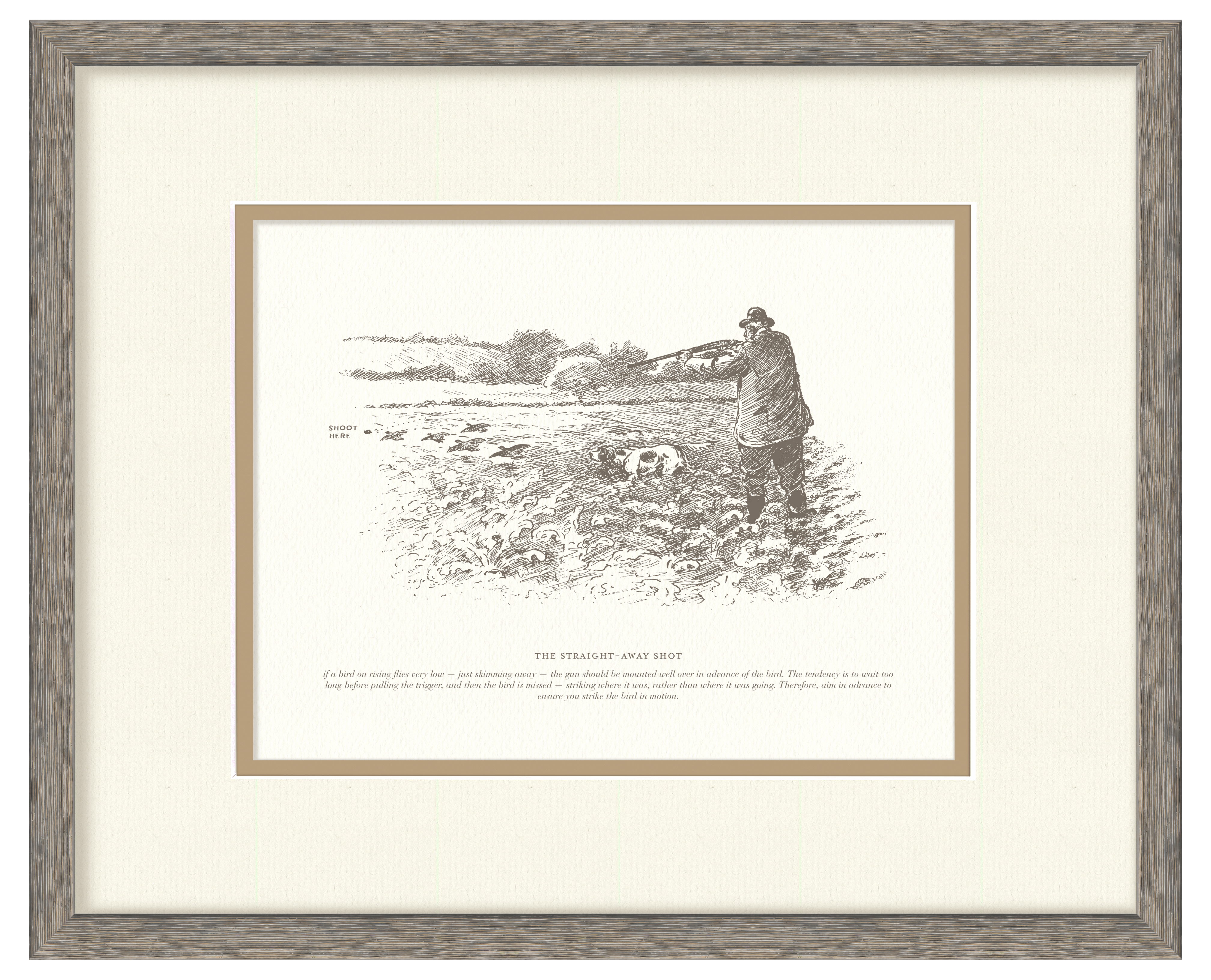 Sport Shooting Illustrations - The Straight-Away Shot