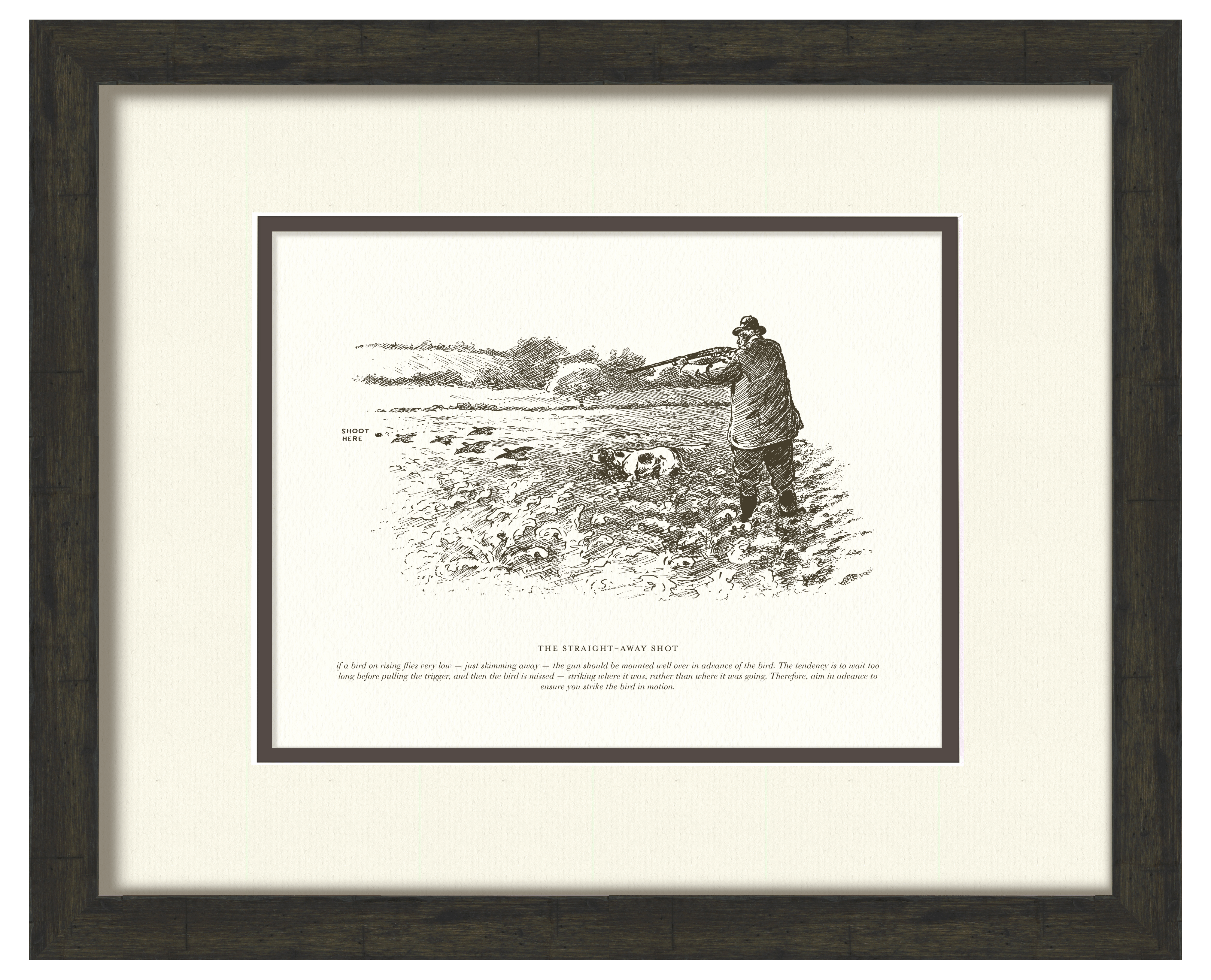 Sport Shooting Illustrations - Curated Set of 4