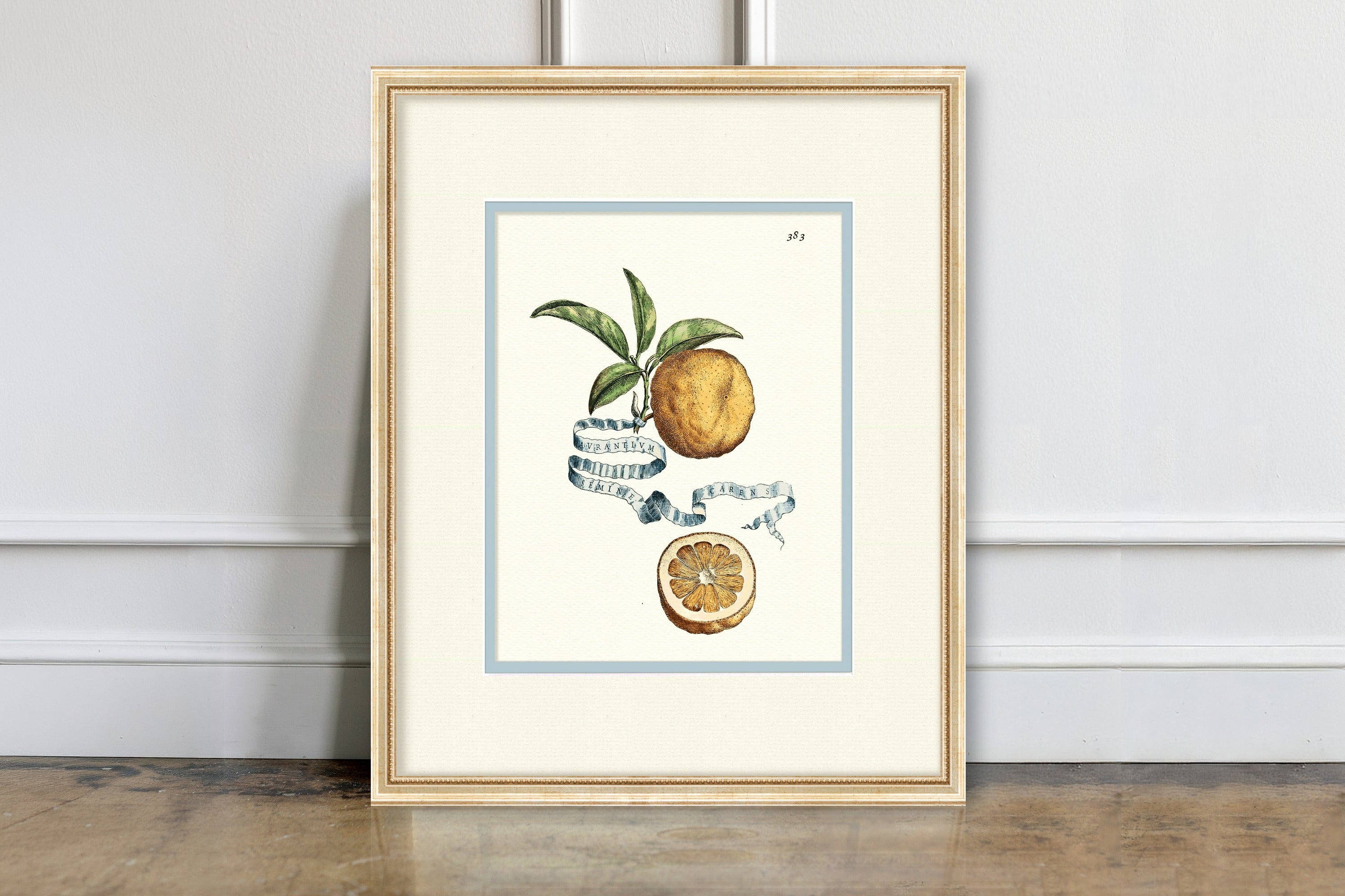 Citrus Botanicals - Orange No. 383