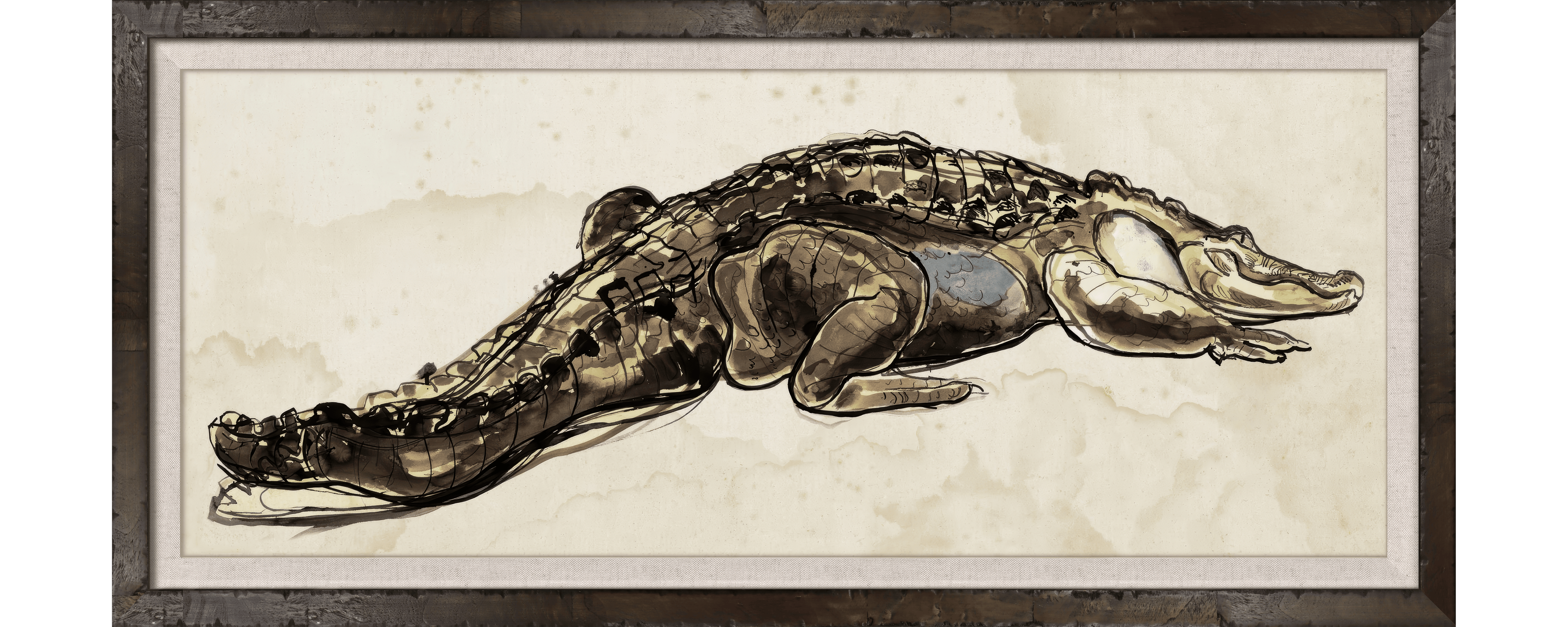 Ink Wash Alligator Studies - In Repose