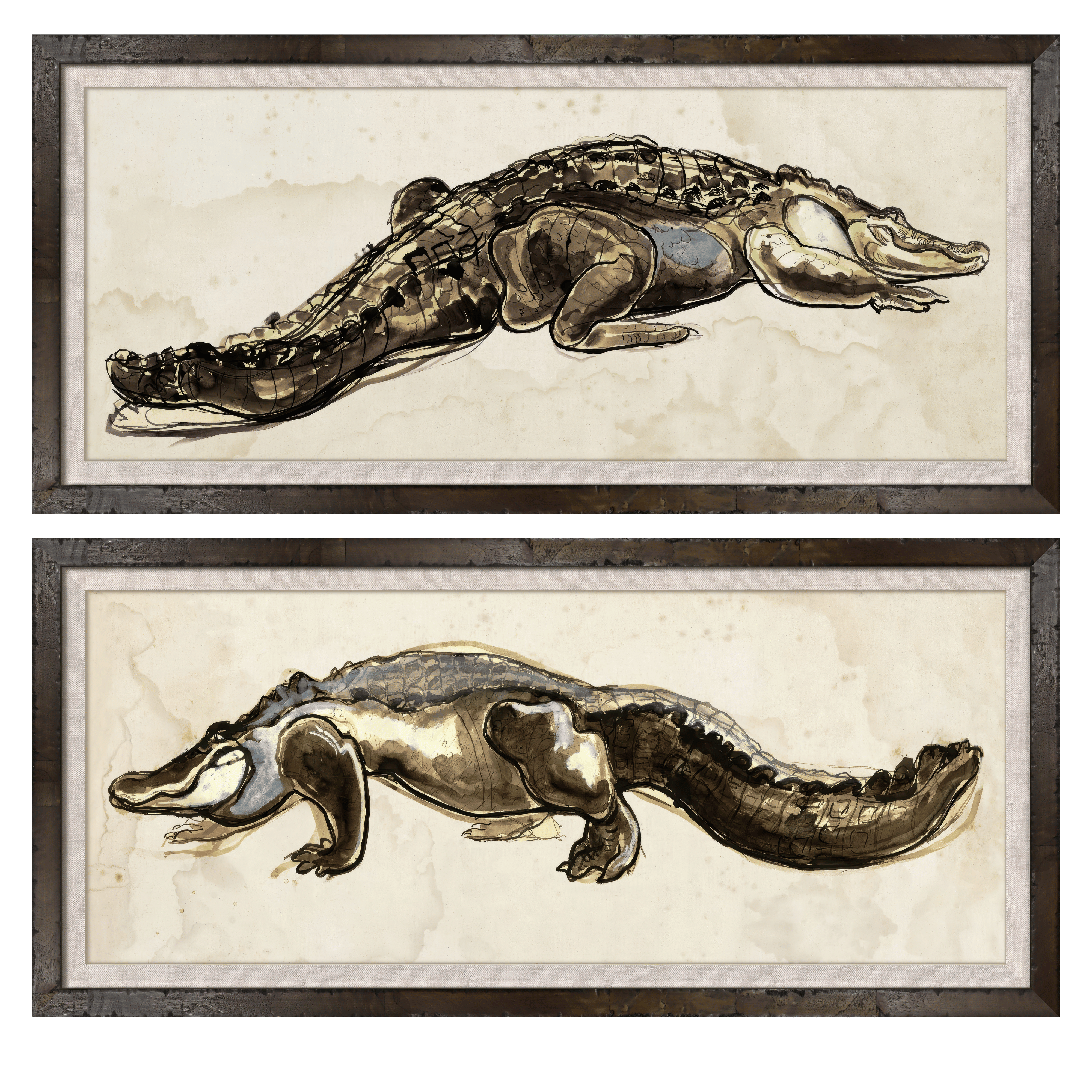 Ink Wash Alligator Studies - Set of 2