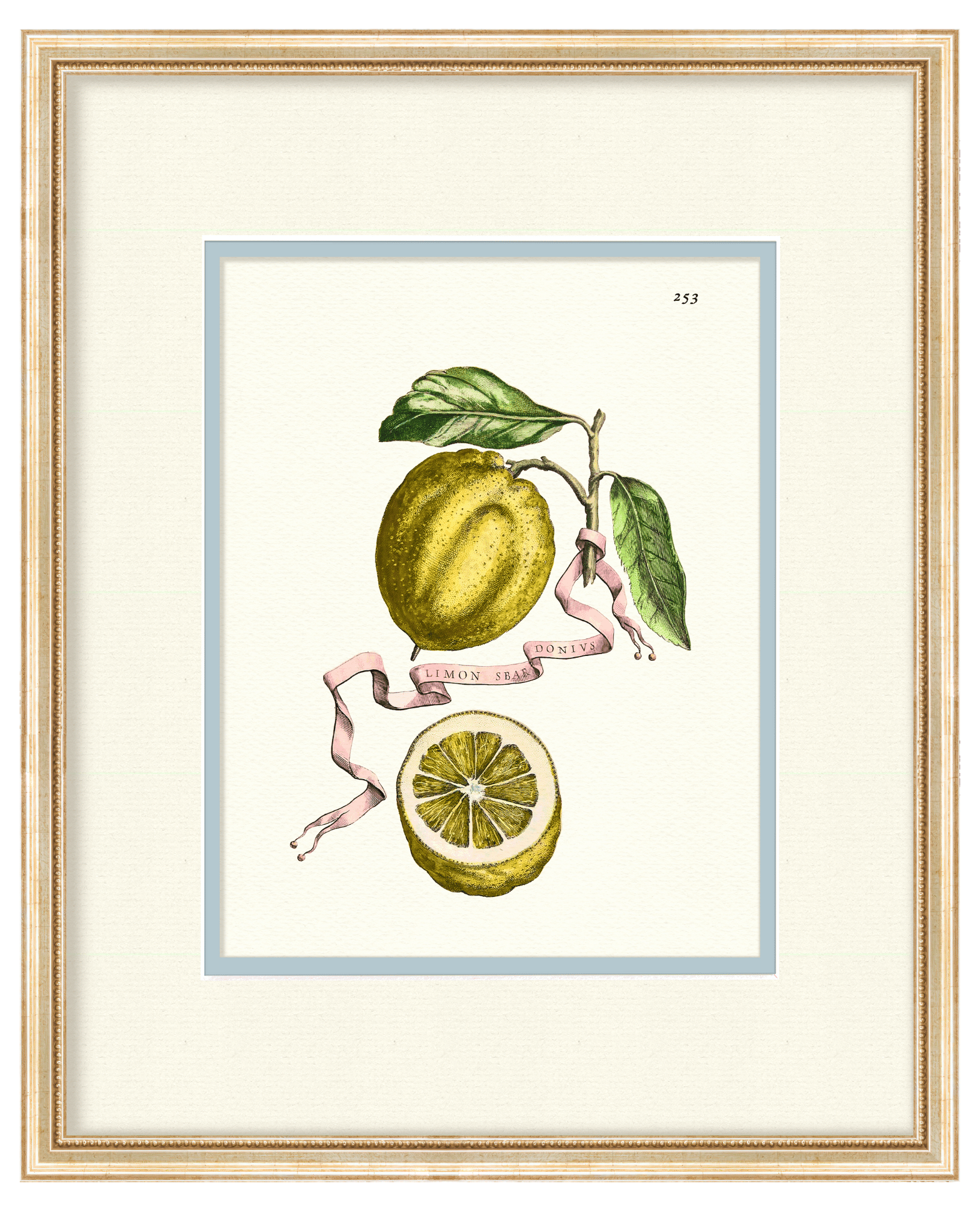 Citrus Botanicals - Curated Set of 3