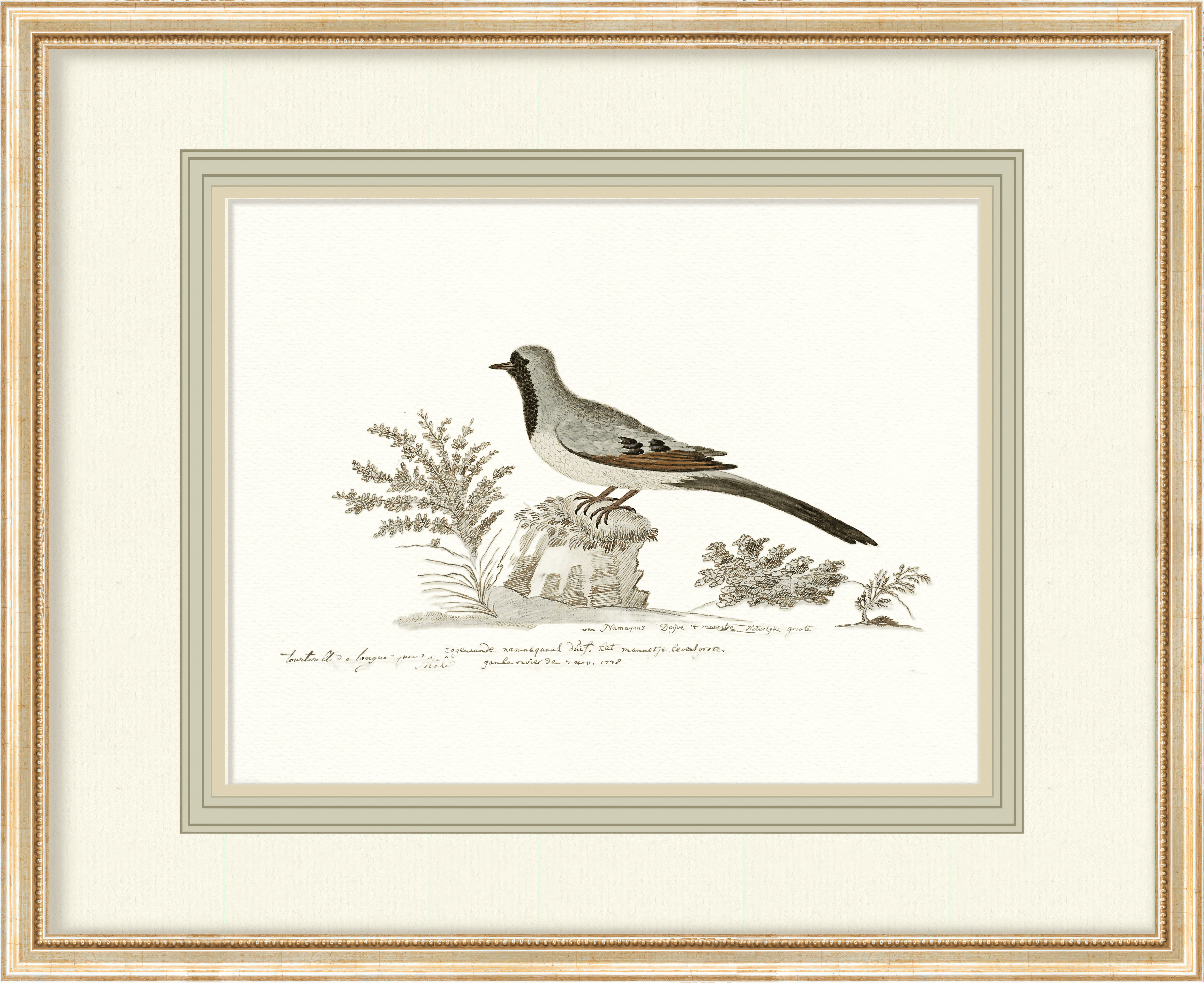 Birds + Botanicals - Curated Set of 4 Birds