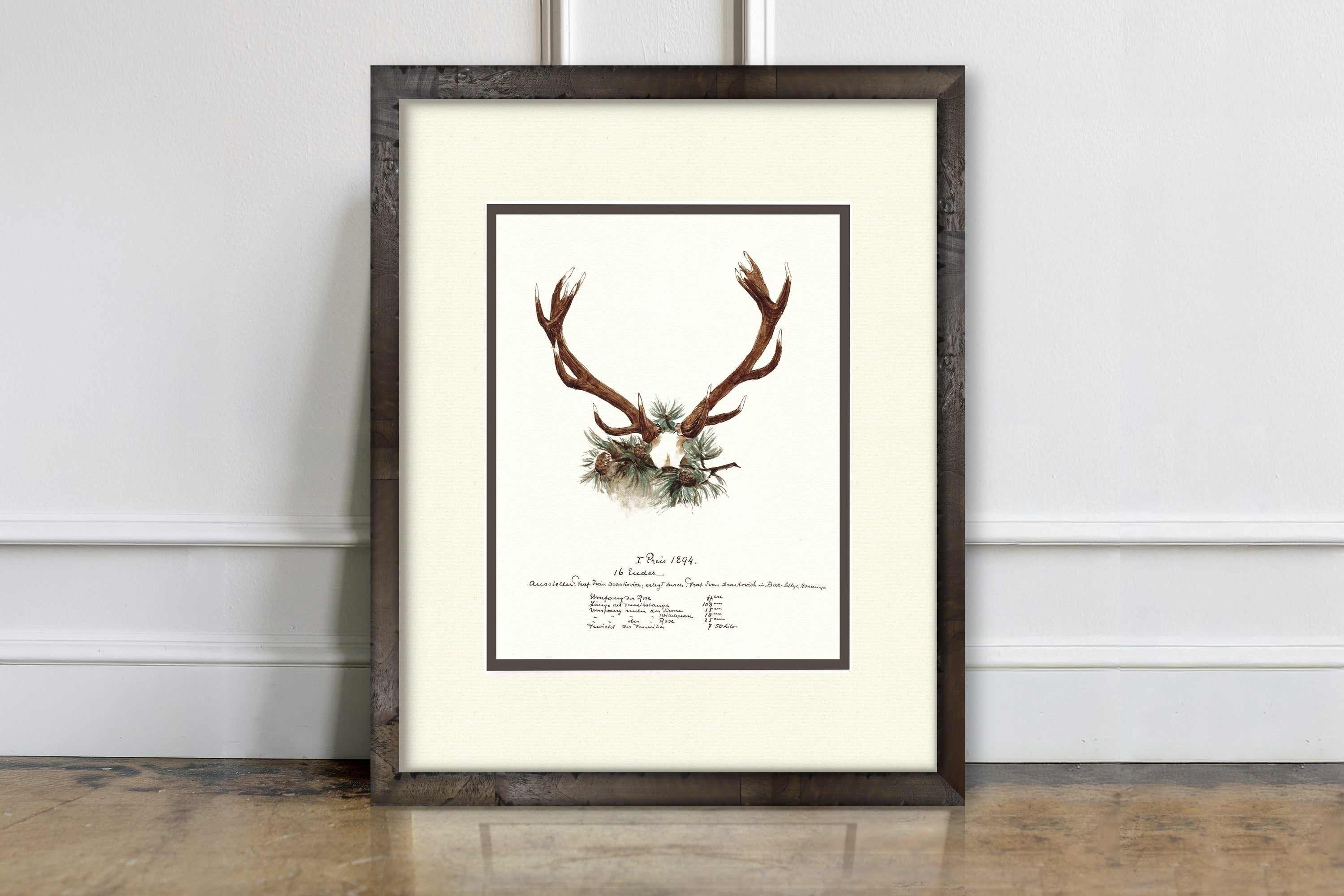 Trophy Antler Illustrations - 1894