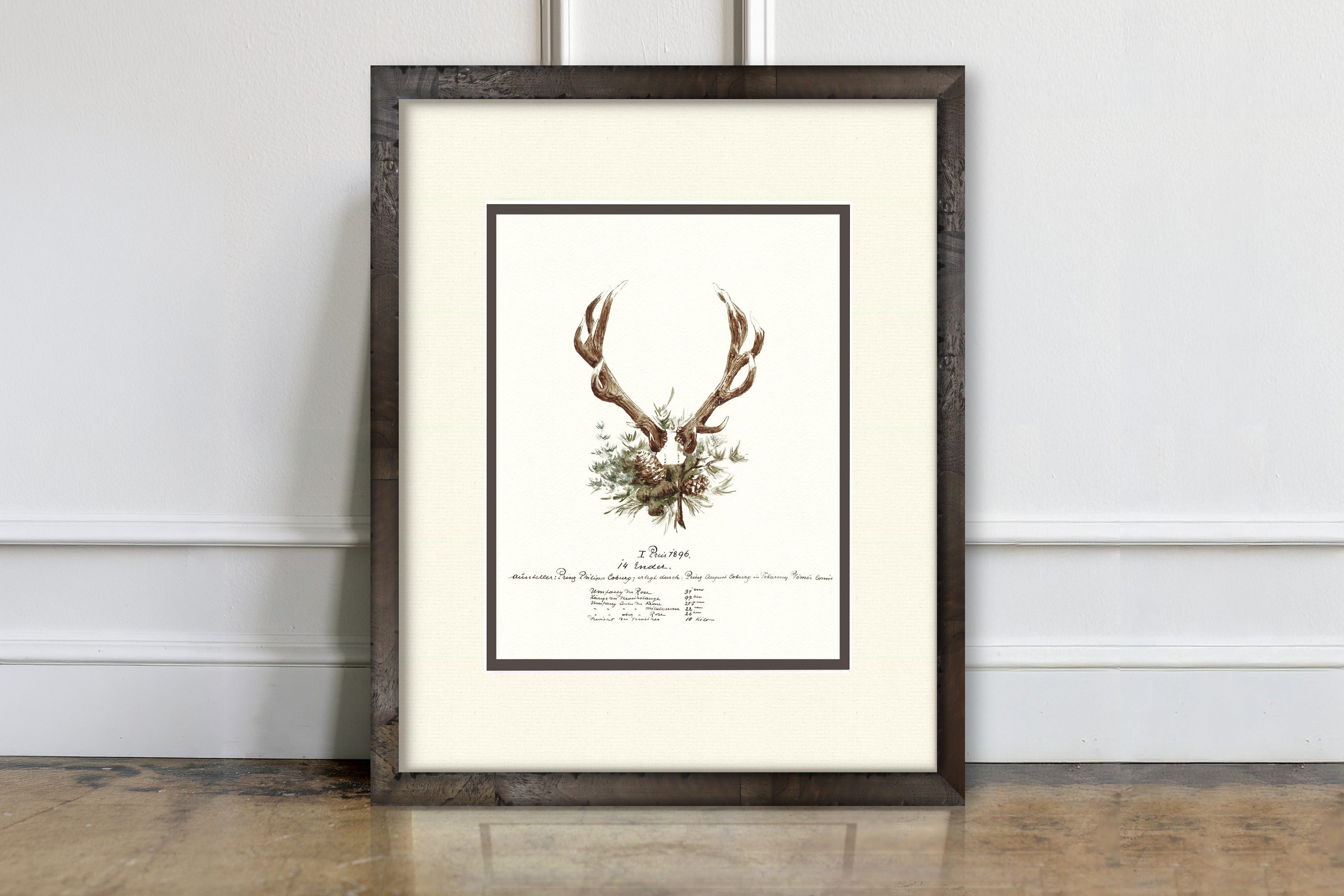 Trophy Antler Illustrations - 1896