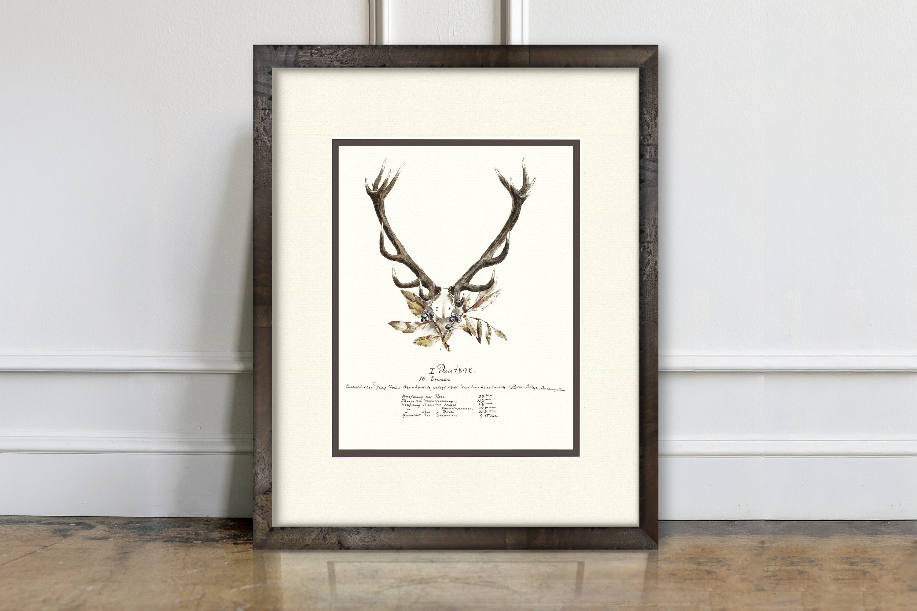 Trophy Antler Illustrations - 1898