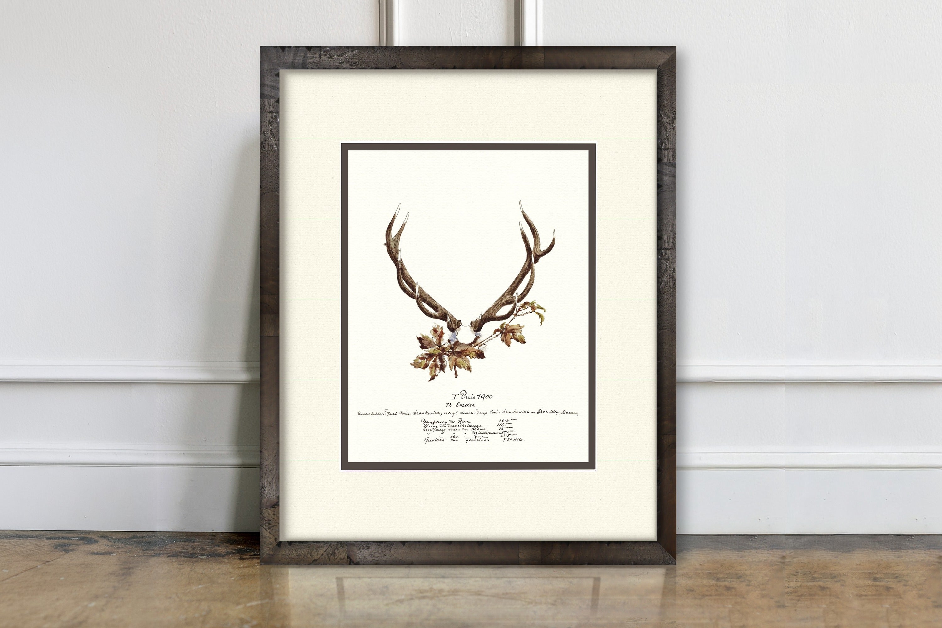 Trophy Antler Illustrations - 1900