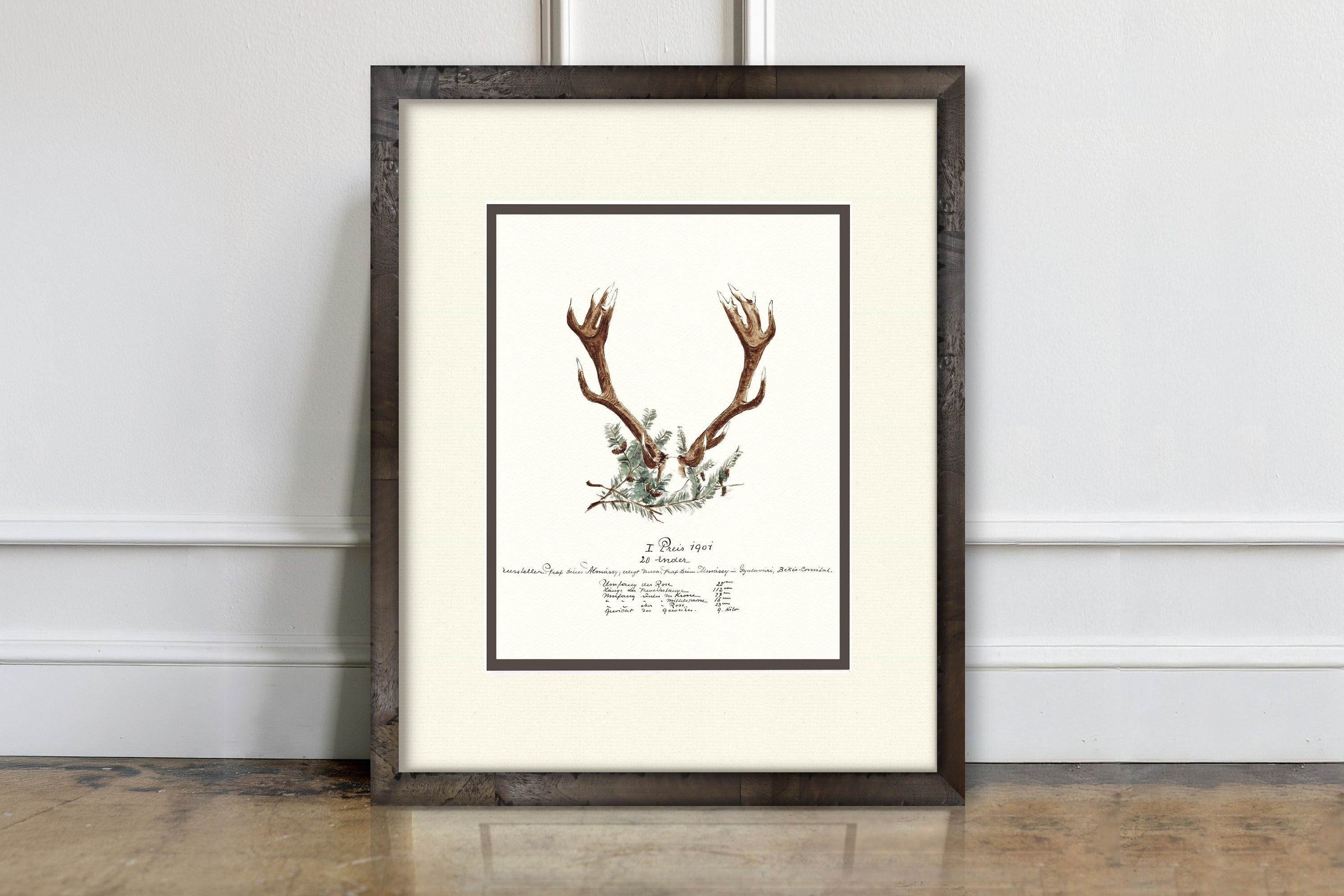 Trophy Antler Illustrations - 1907