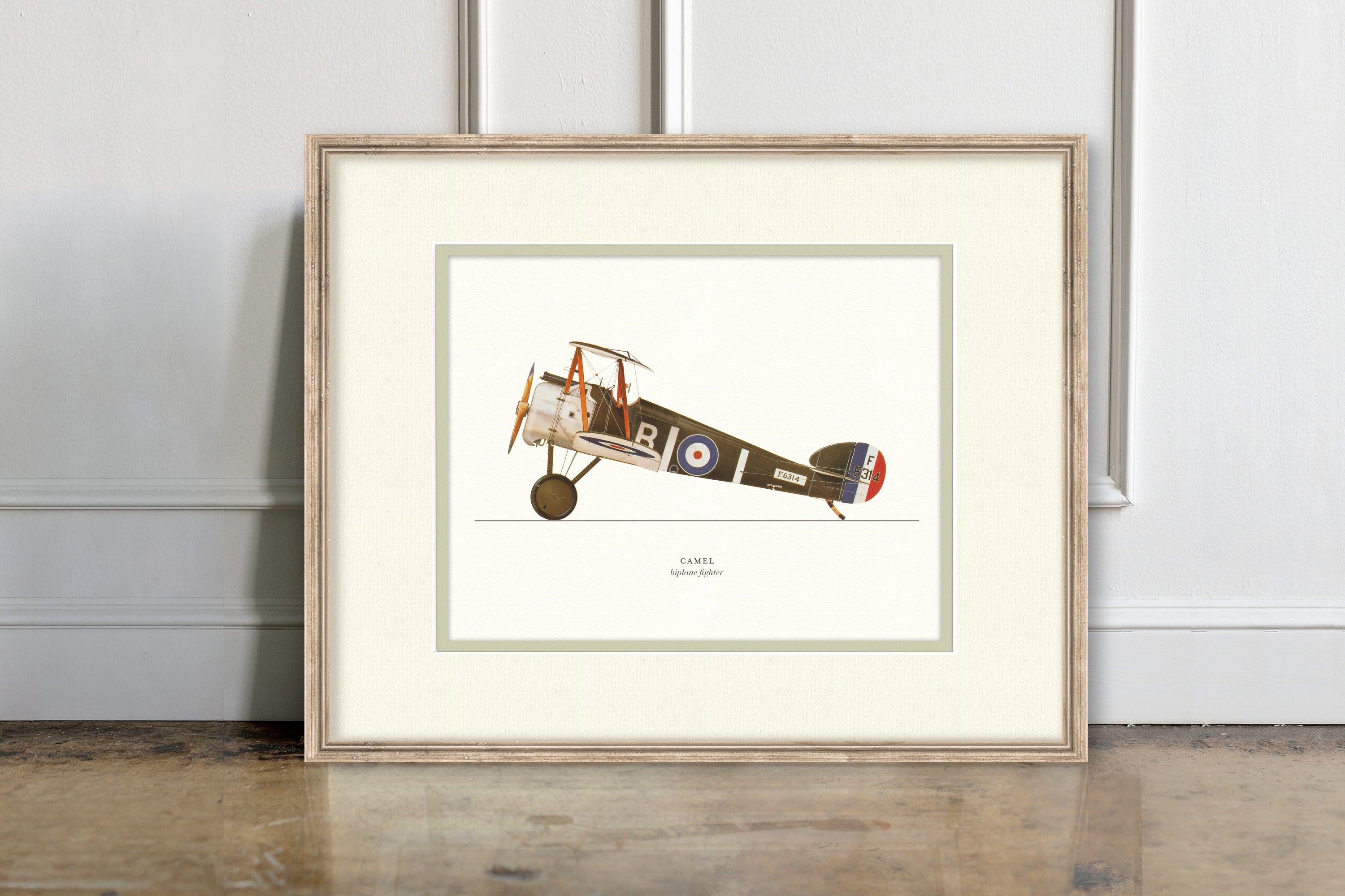 Vintage Airplanes - Camel
