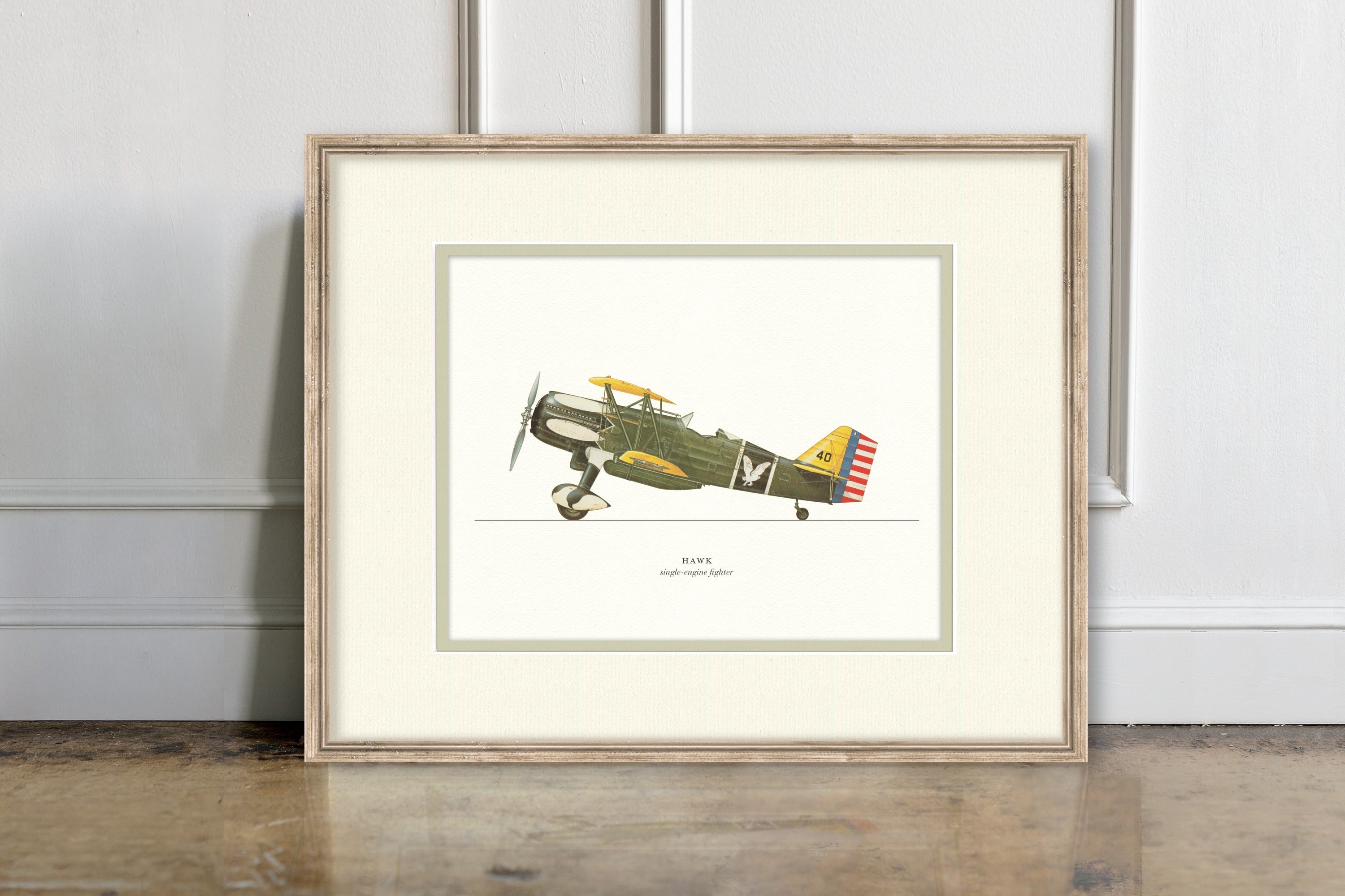 Vintage Airplanes - Hawk