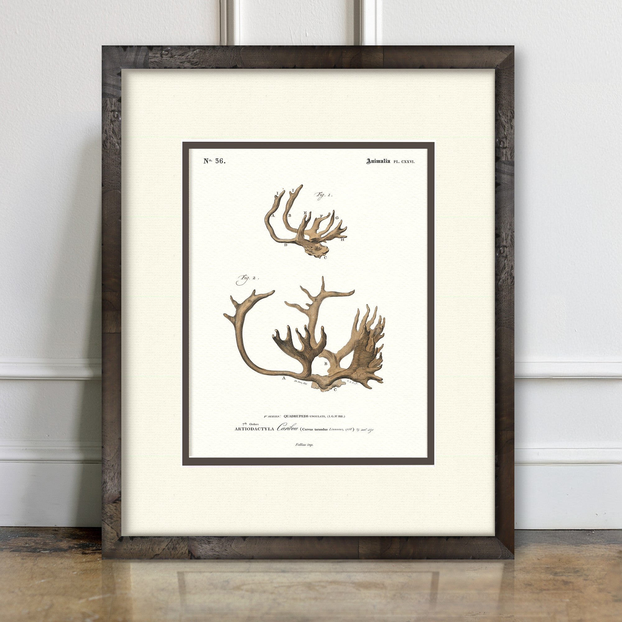 Caribou vintage antler illustration art print — room mockup