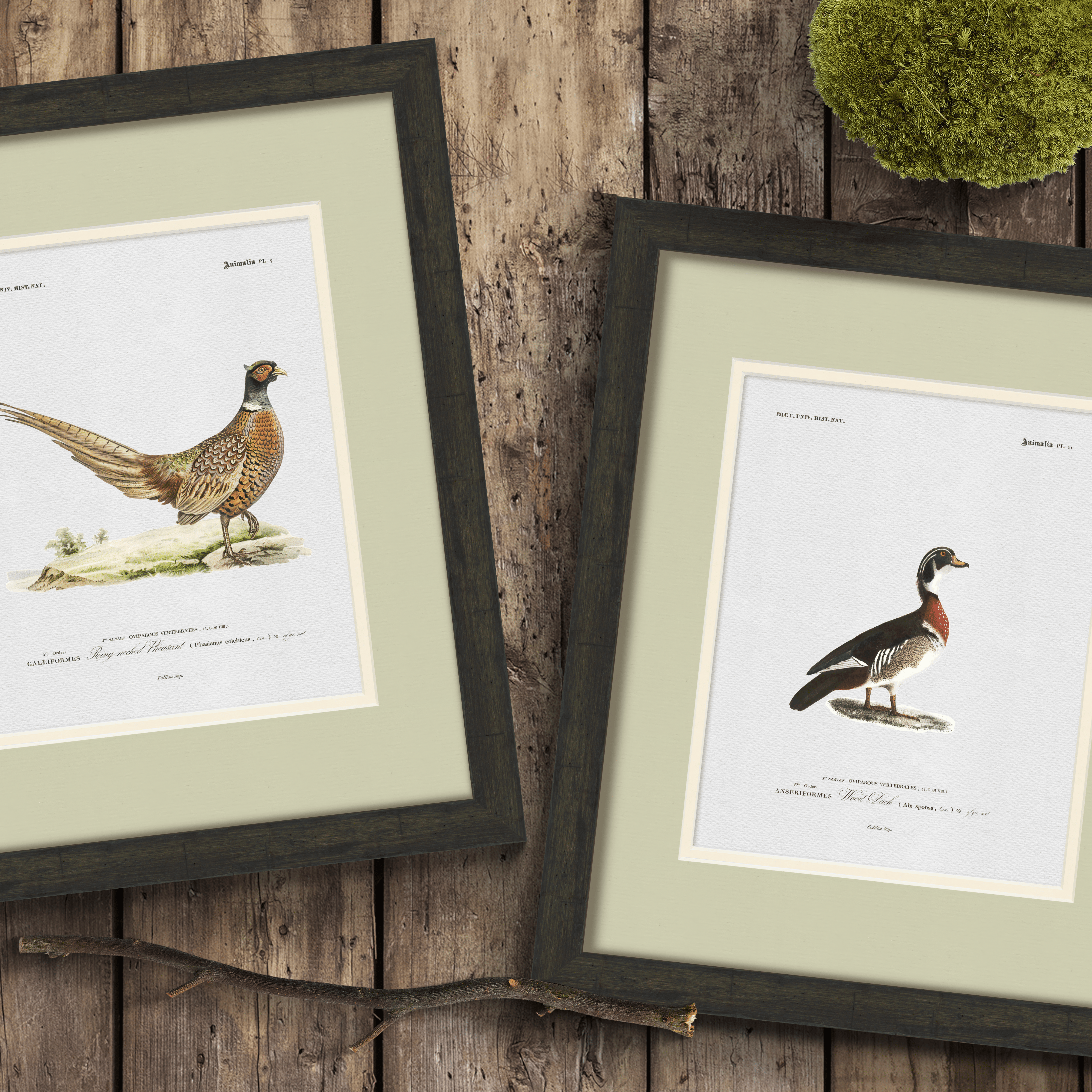 Sage & Ecru Double Mats