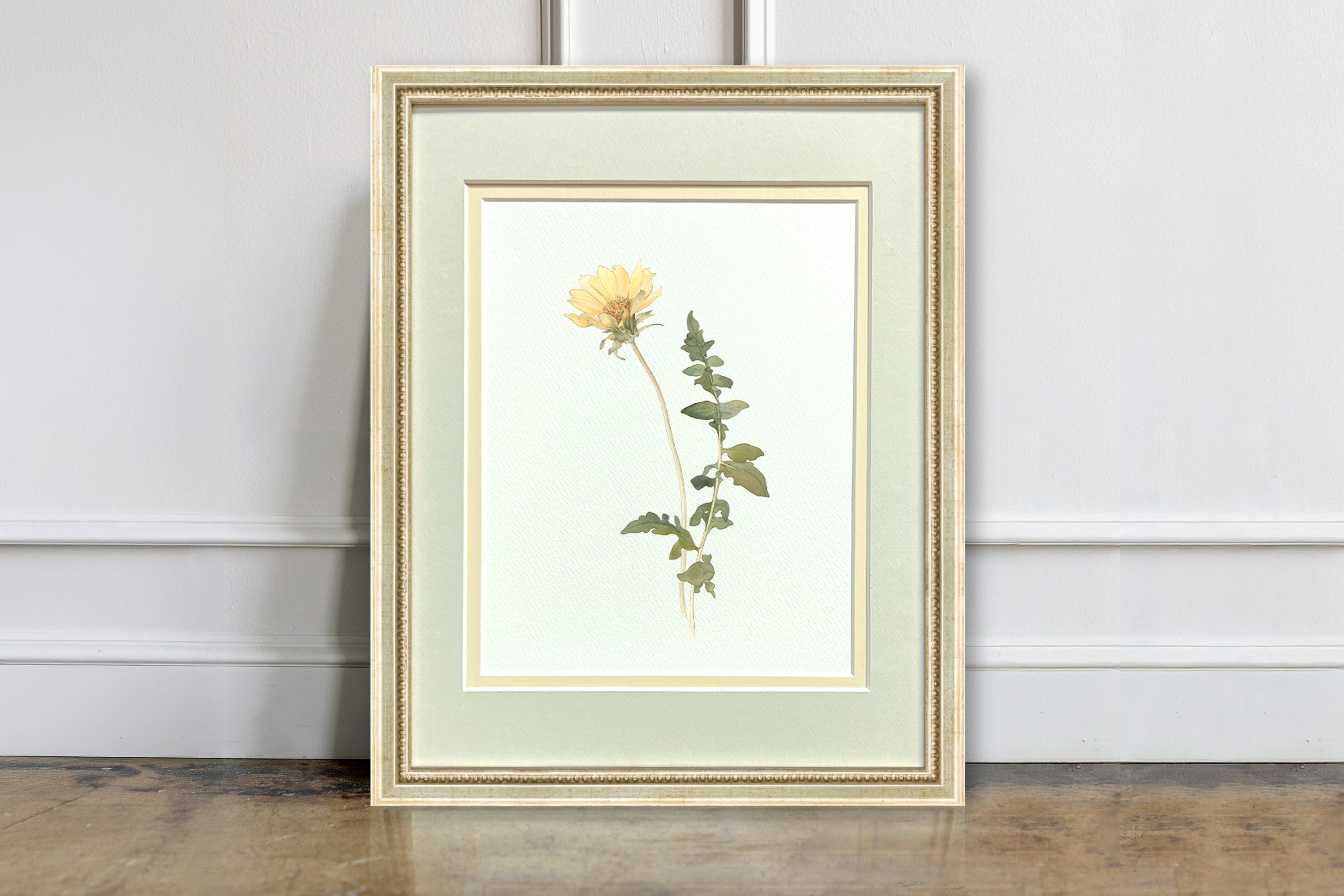 Watercolor Botanical Illustrations - Balsam