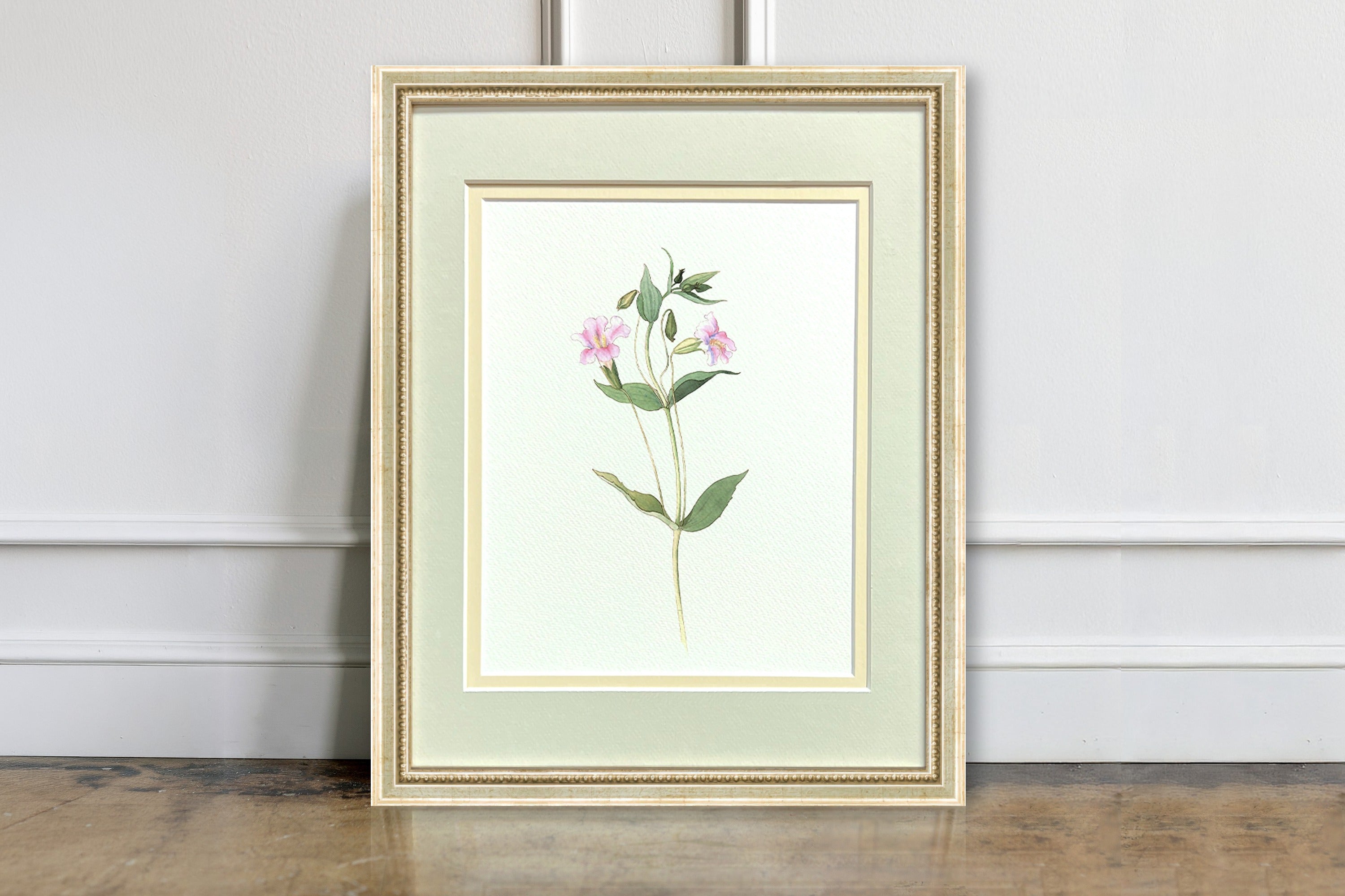 Watercolor Botanical Illustrations - Pink Monkey Flower