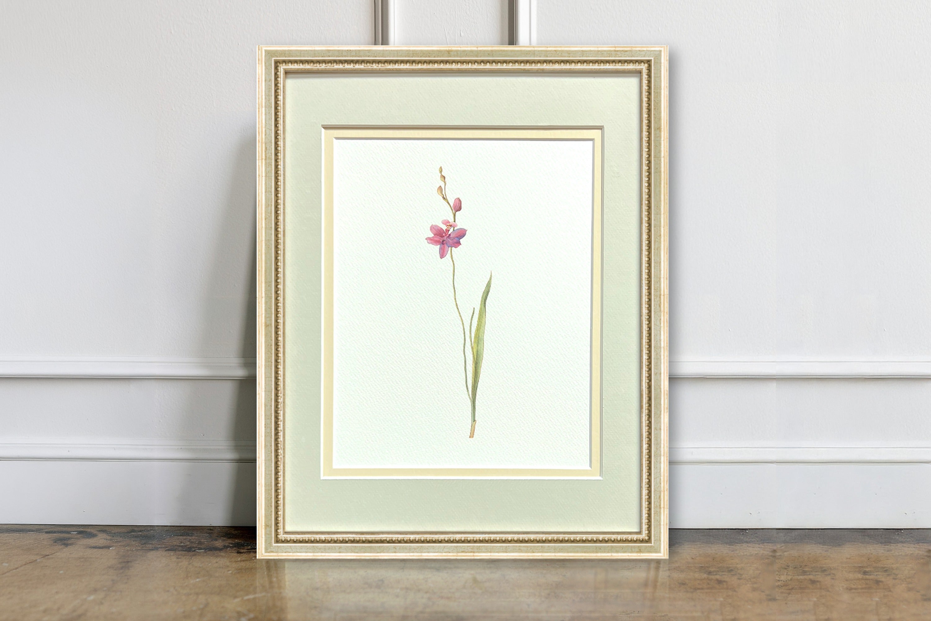 Watercolor Botanical Illustrations - Pink Orchid