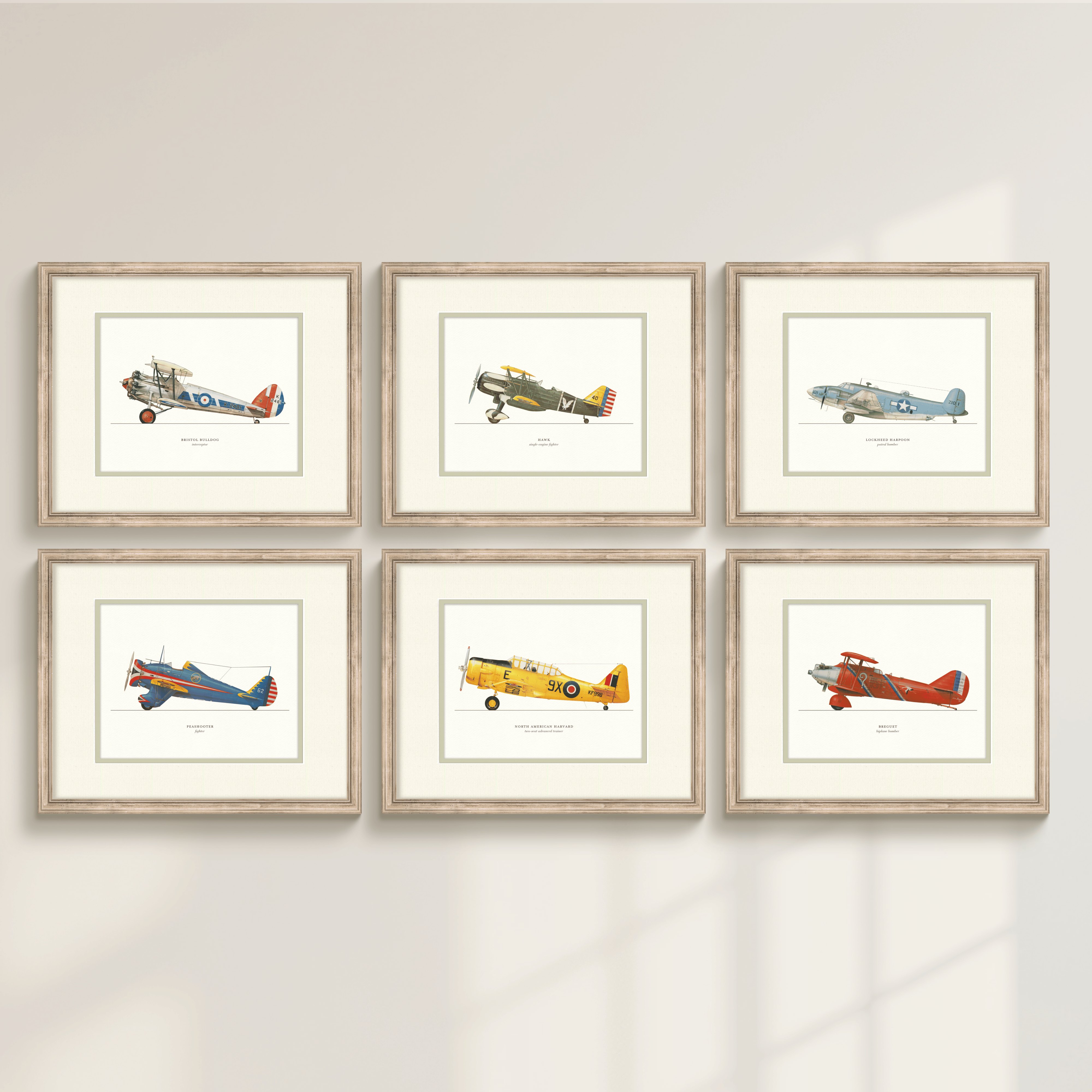 Vintage Airplanes - Lockheed Harpoon