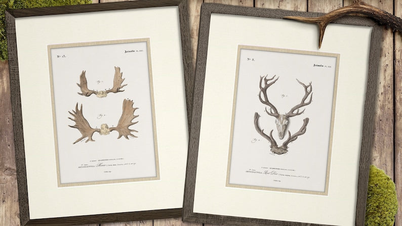 Antique White & Natural Linen Double Mat