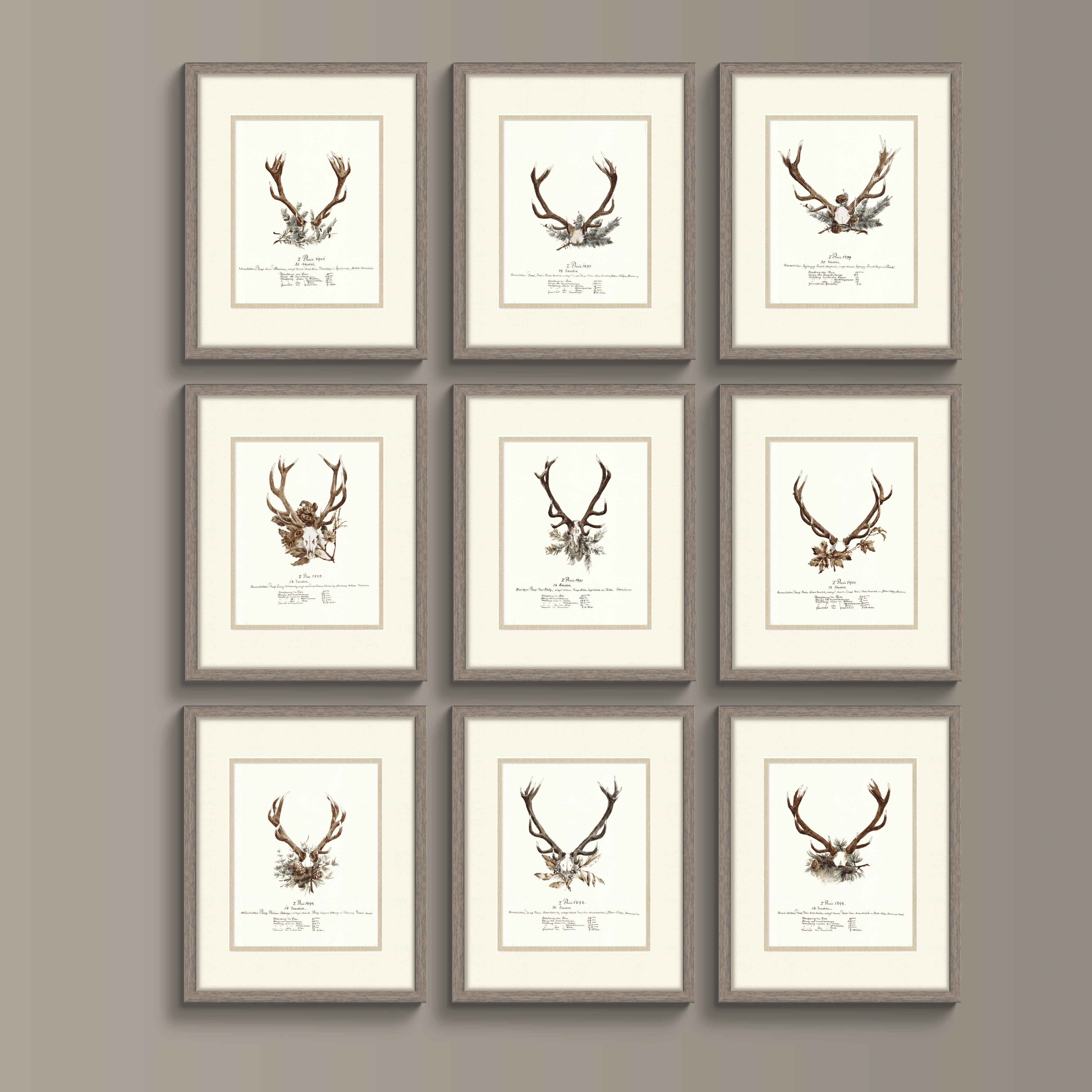 Trophy Antler Illustrations - 1898