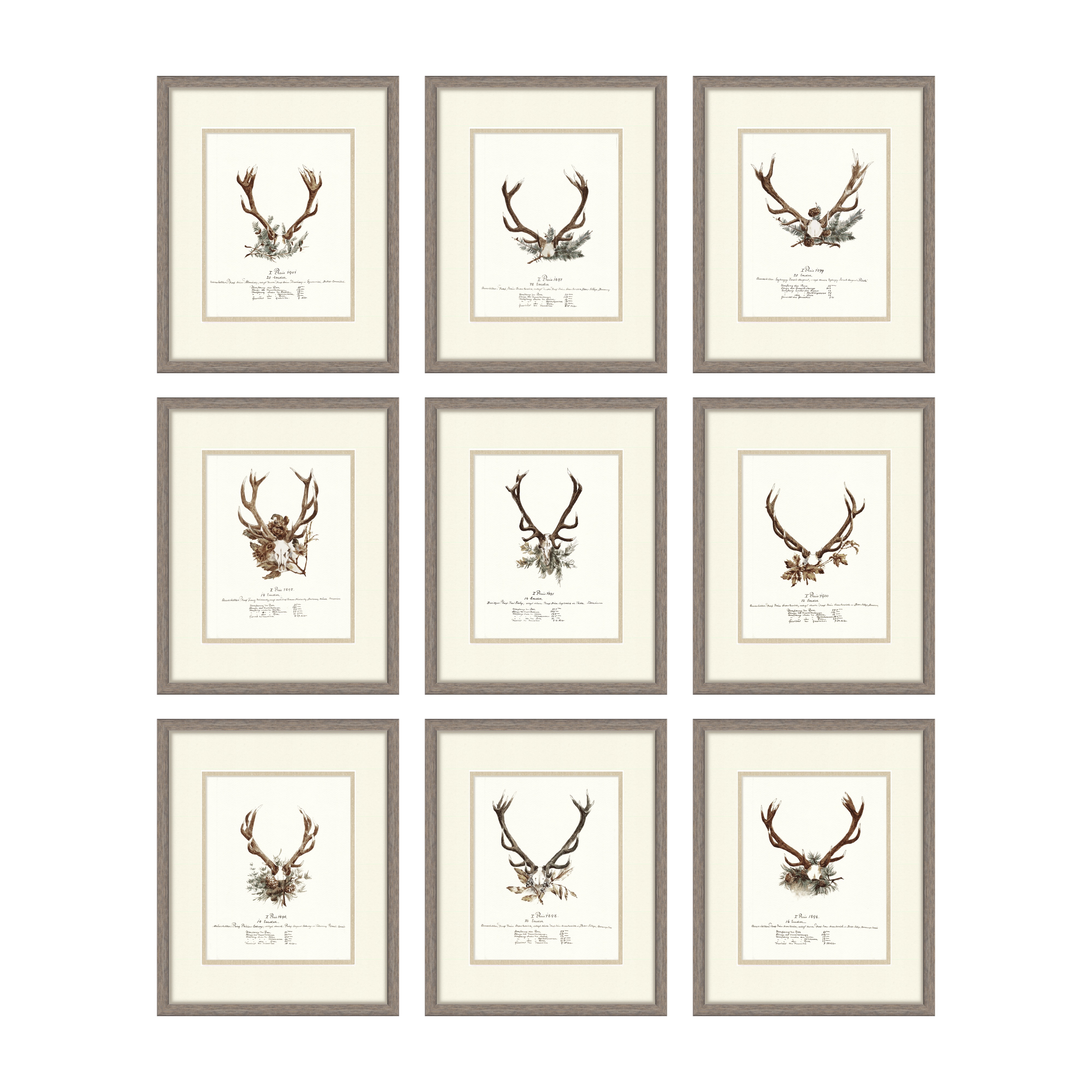 Trophy Antler Illustrations Full Set of 9 — vintage big game trophy gallery wall collection