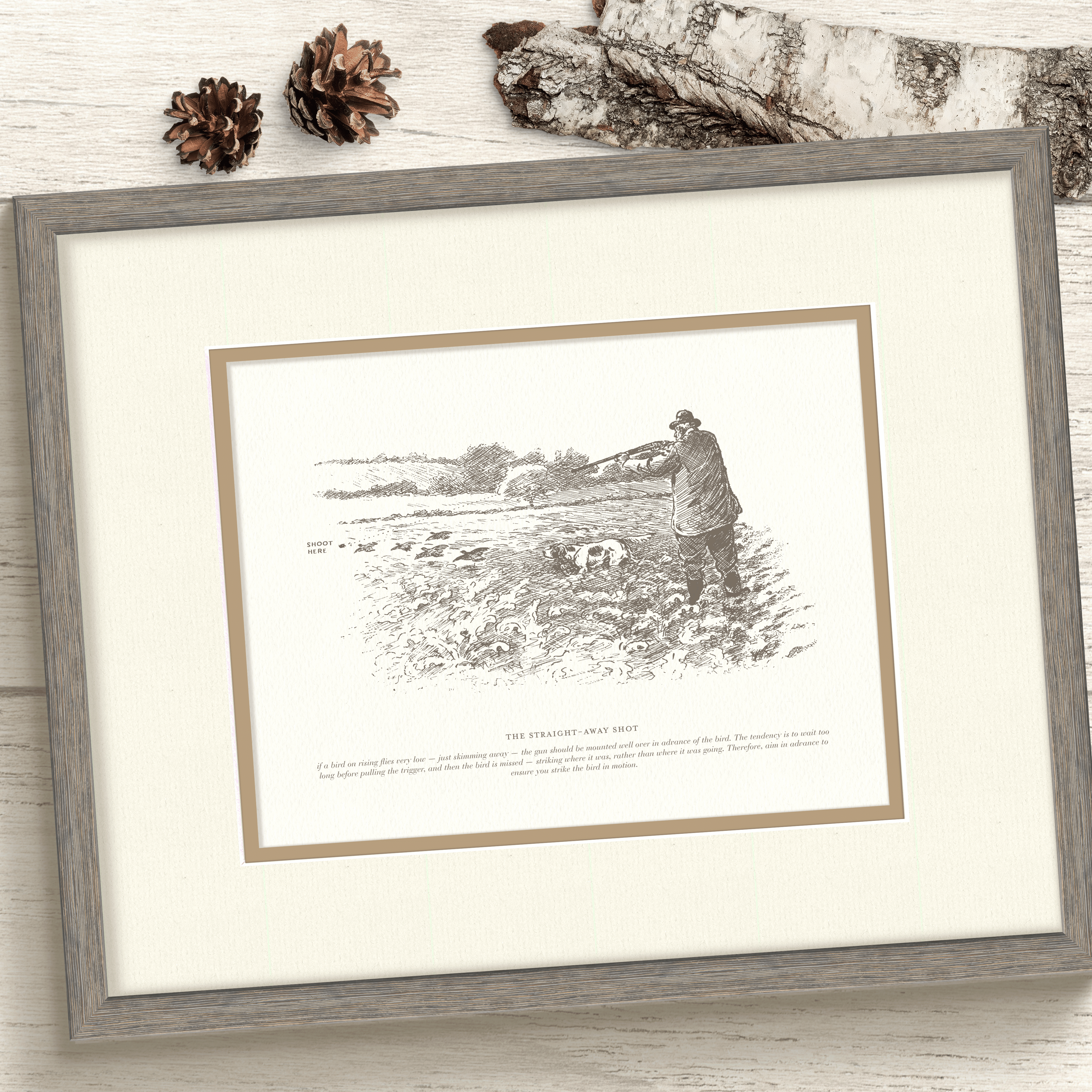 Sport Shooting Illustrations - Curated Set of 4