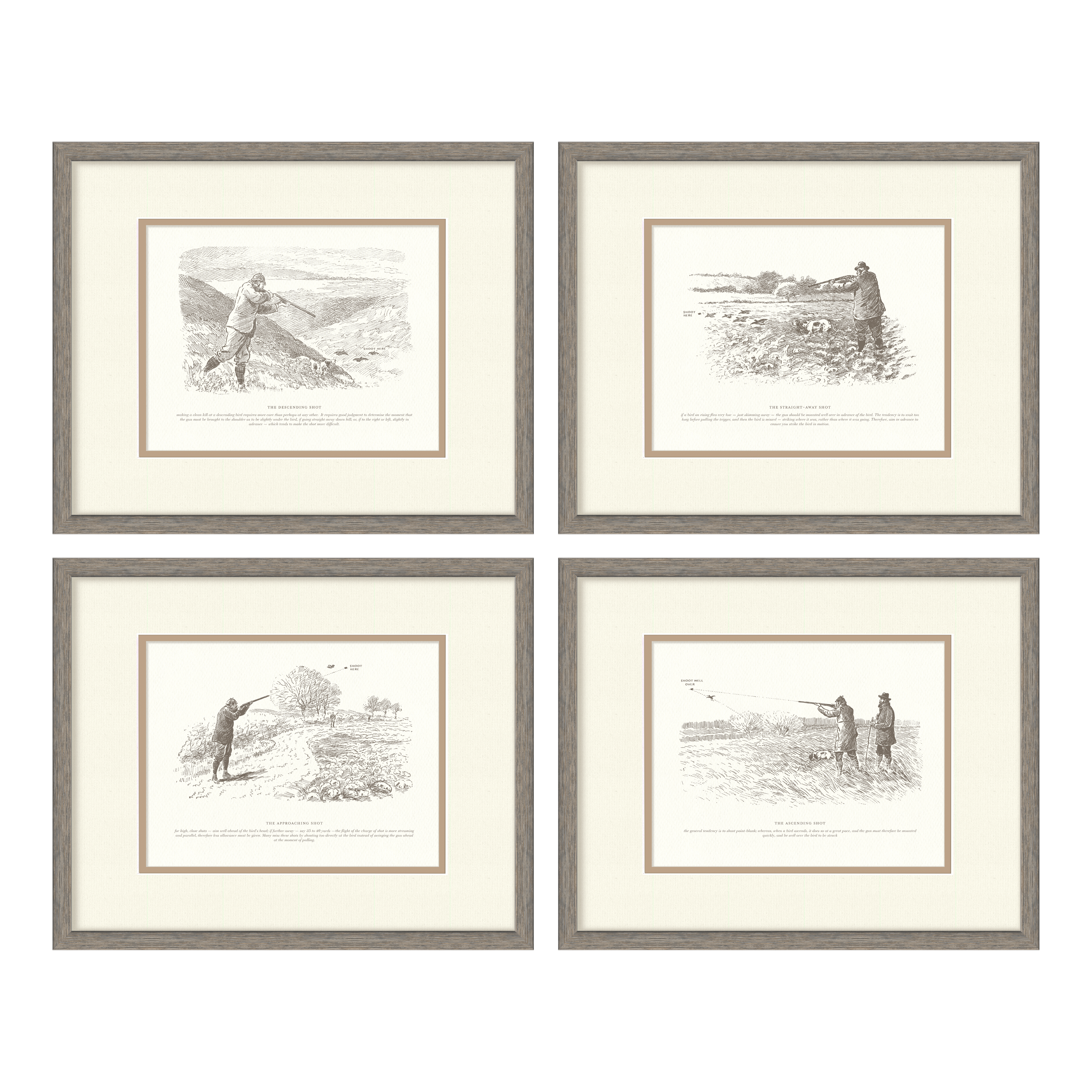 Sport Shooting Illustrations - Curated Set of 4