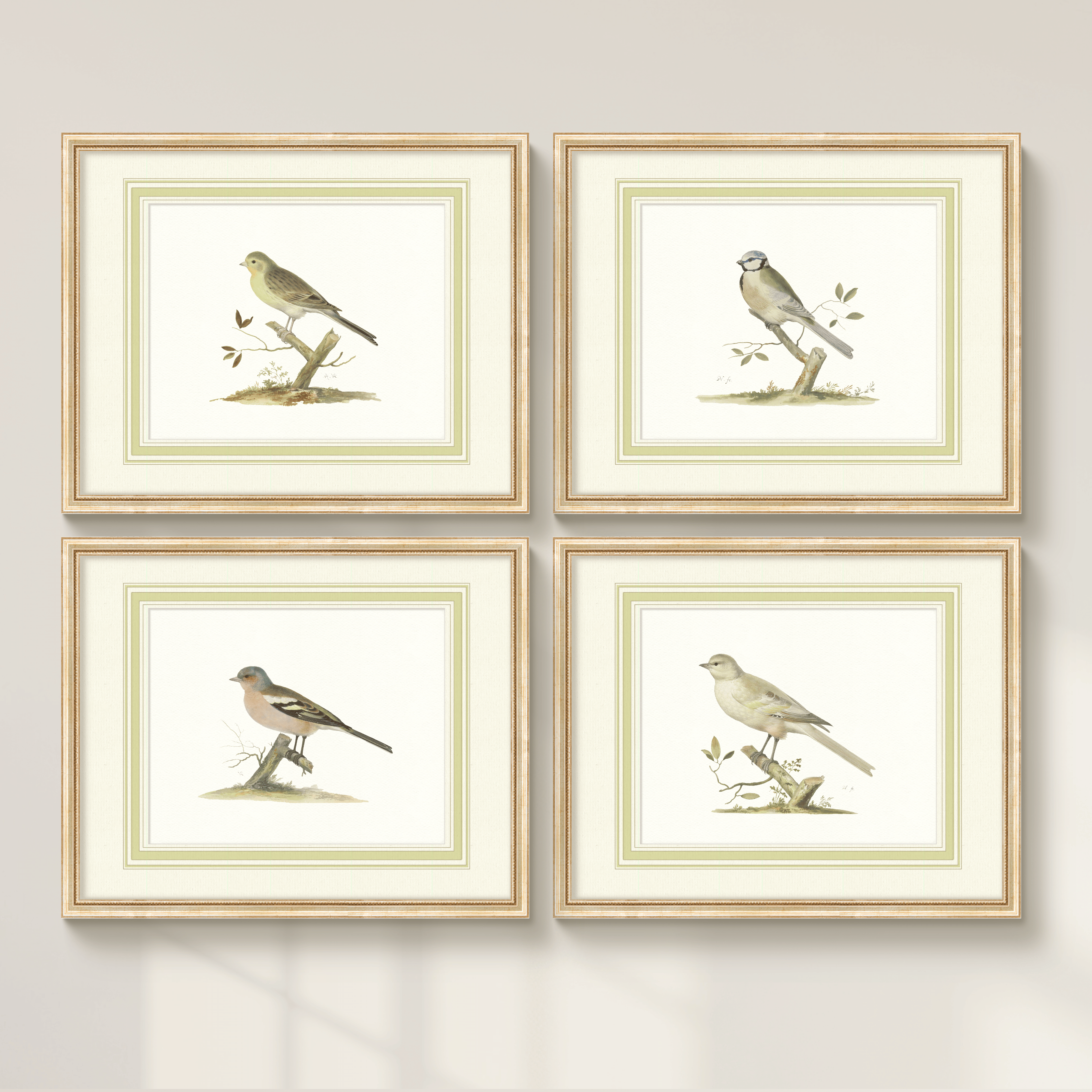 Aviary - Canary