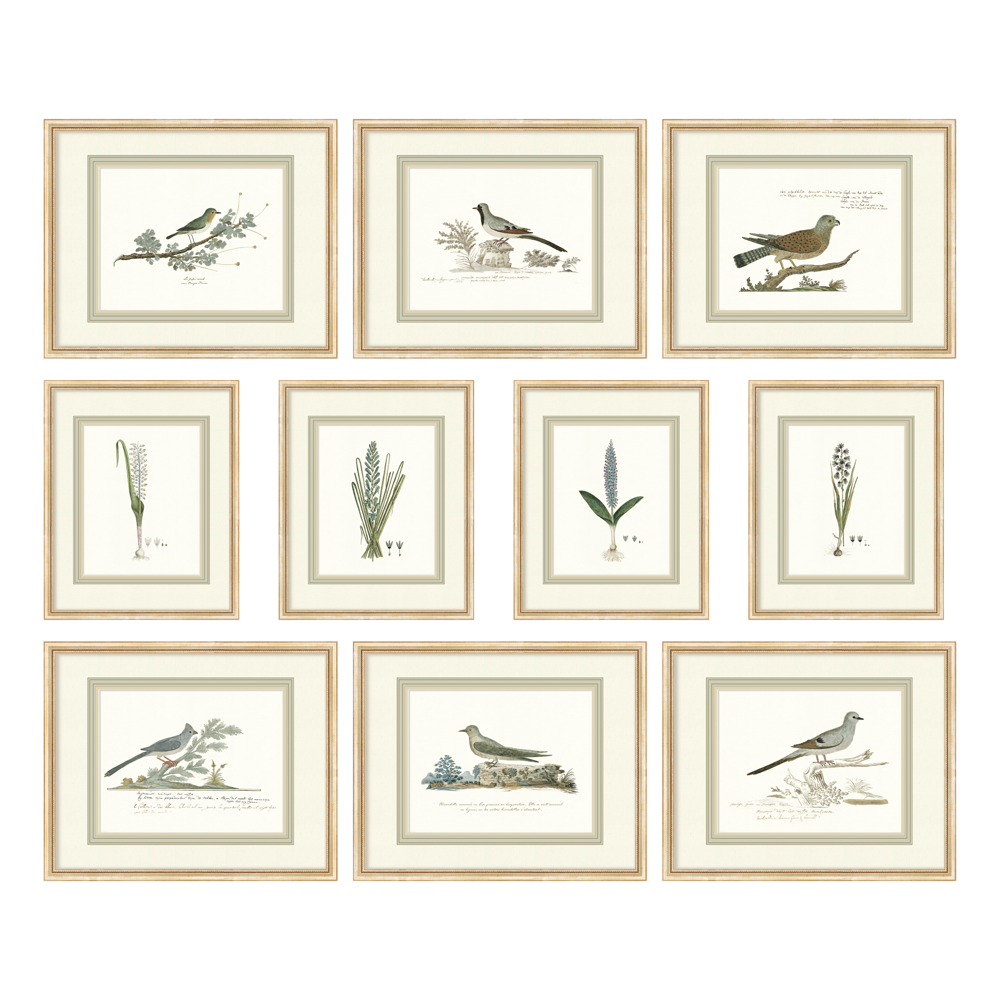 Birds + Botanicals - Full Gallery