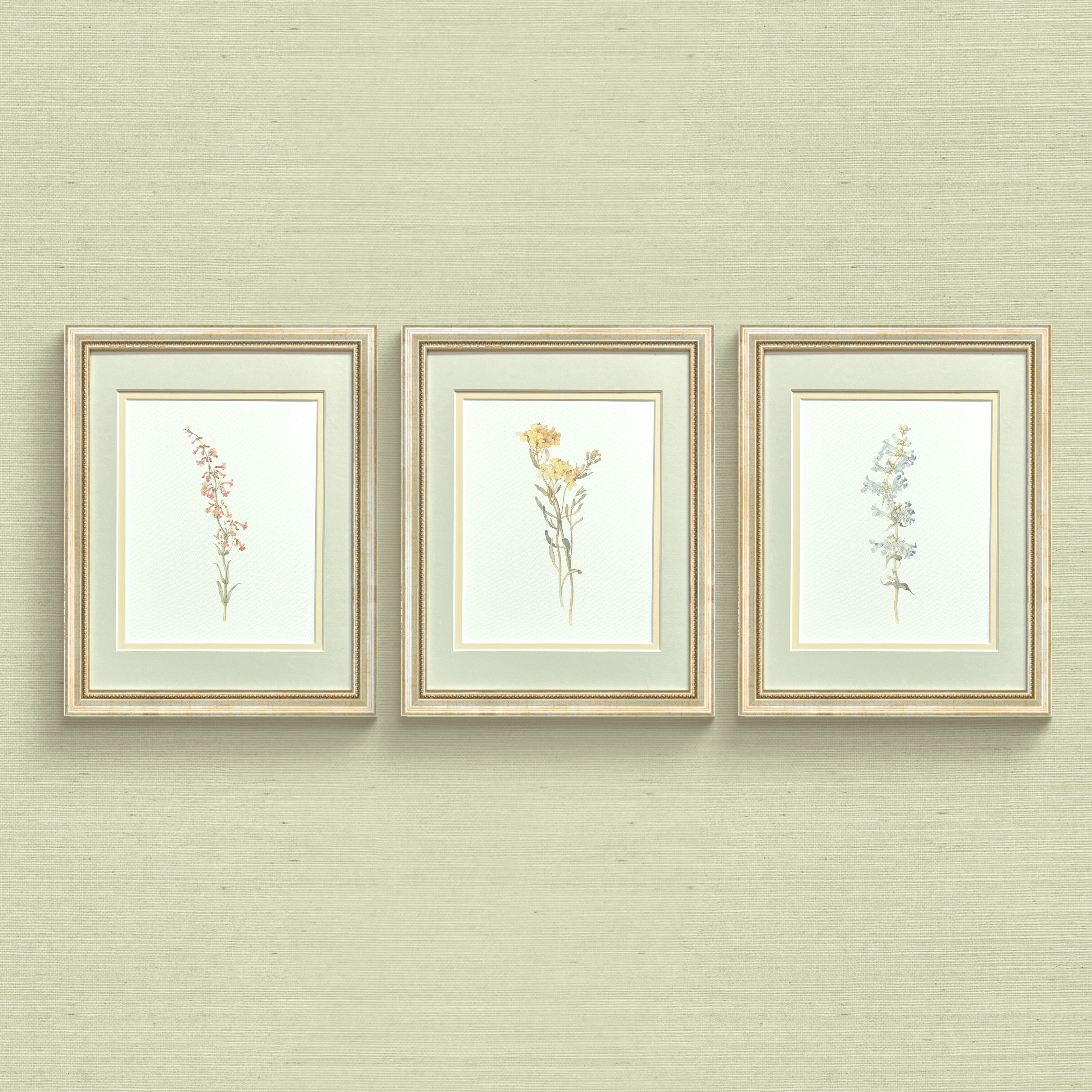 Watercolor Botanical Illustrations - Set of 3: Series I