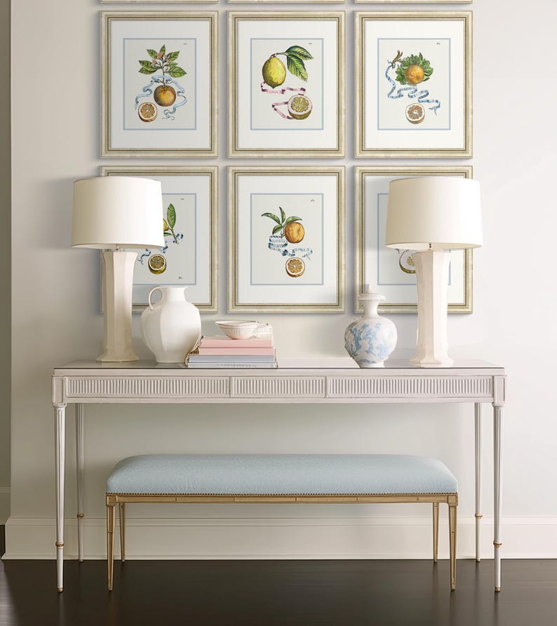 Citrus Botanicals - Orange No. 389