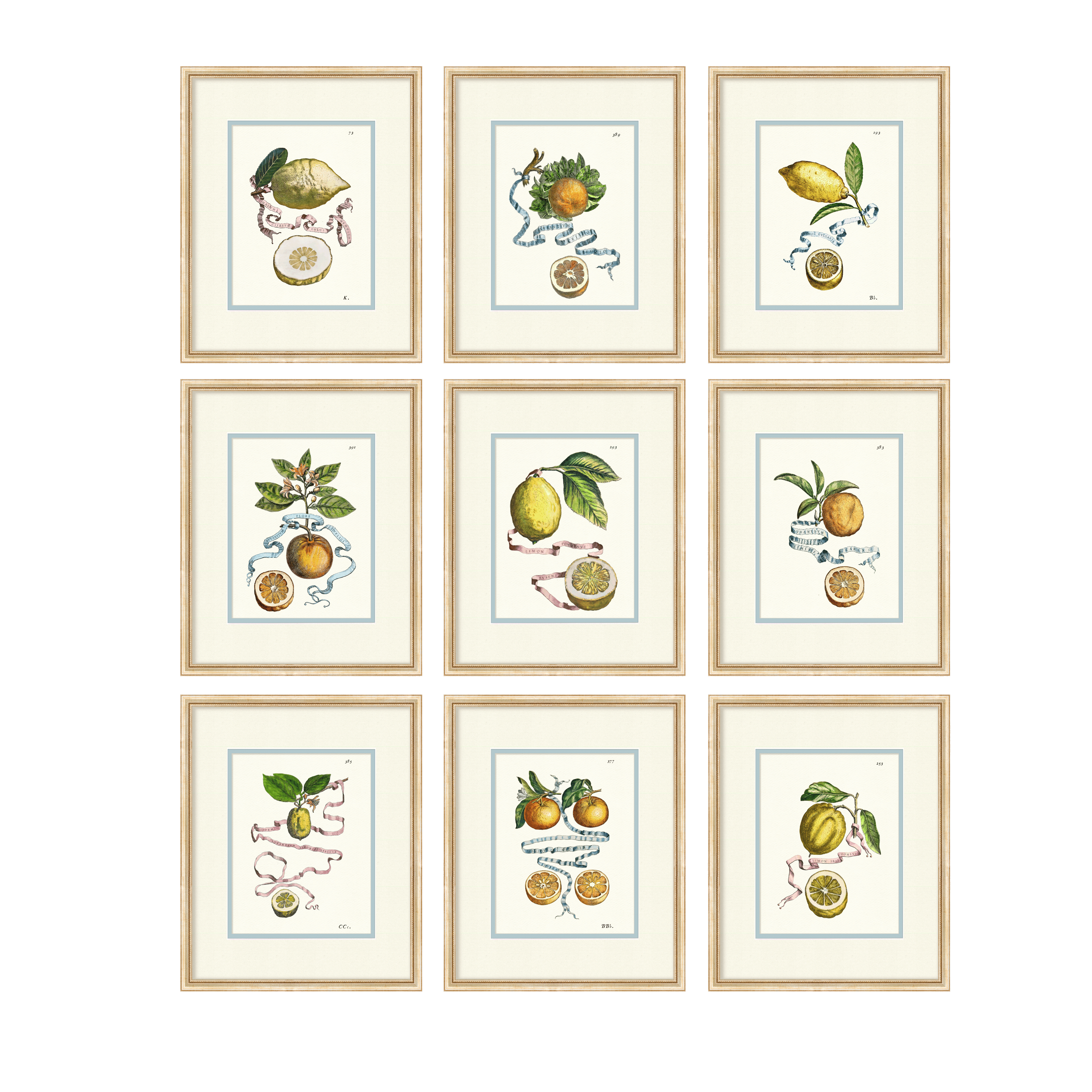 Citrus Botanicals - Full Set of 9