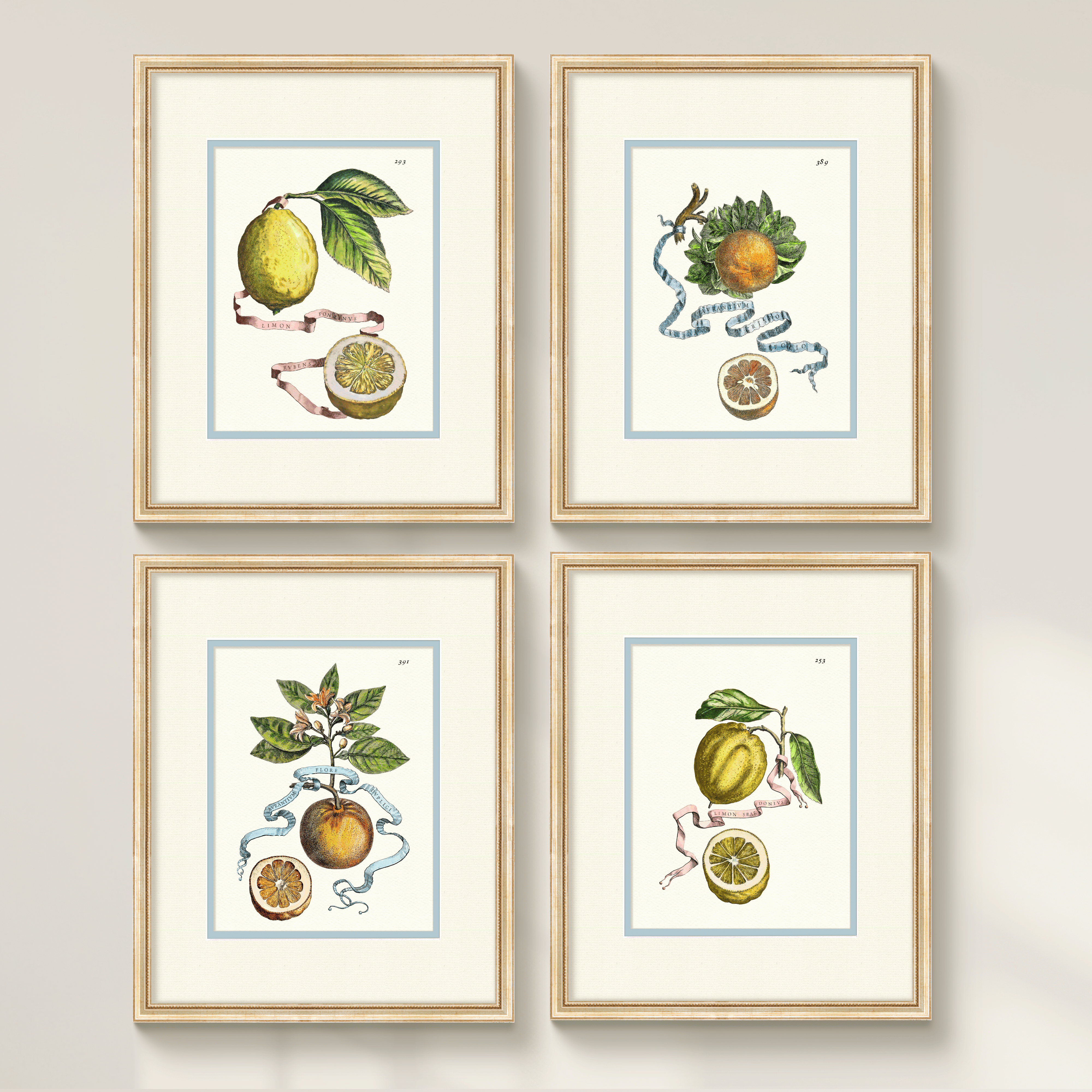 Citrus Botanicals - Curated Set of 4