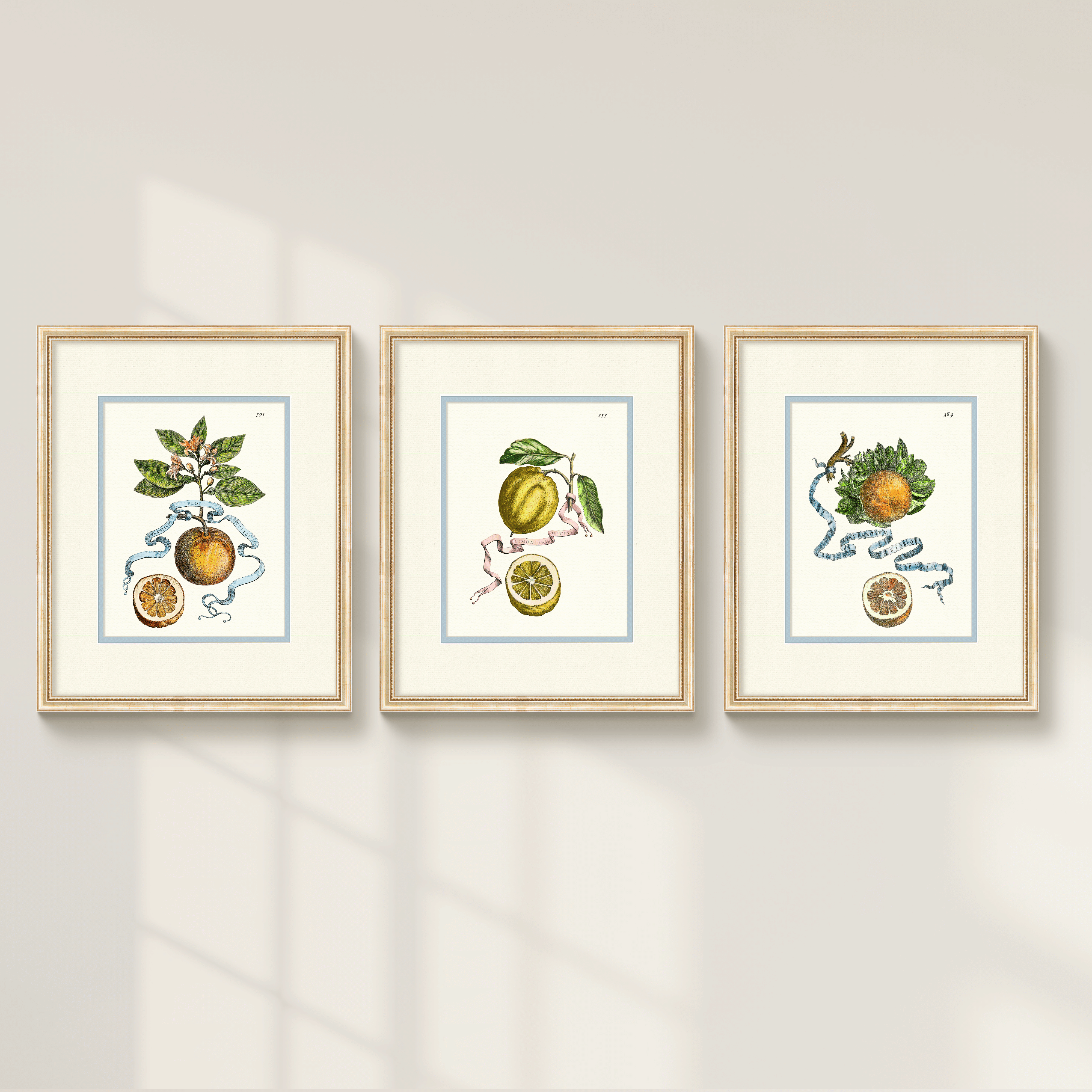 Citrus Botanicals - Orange No. 389