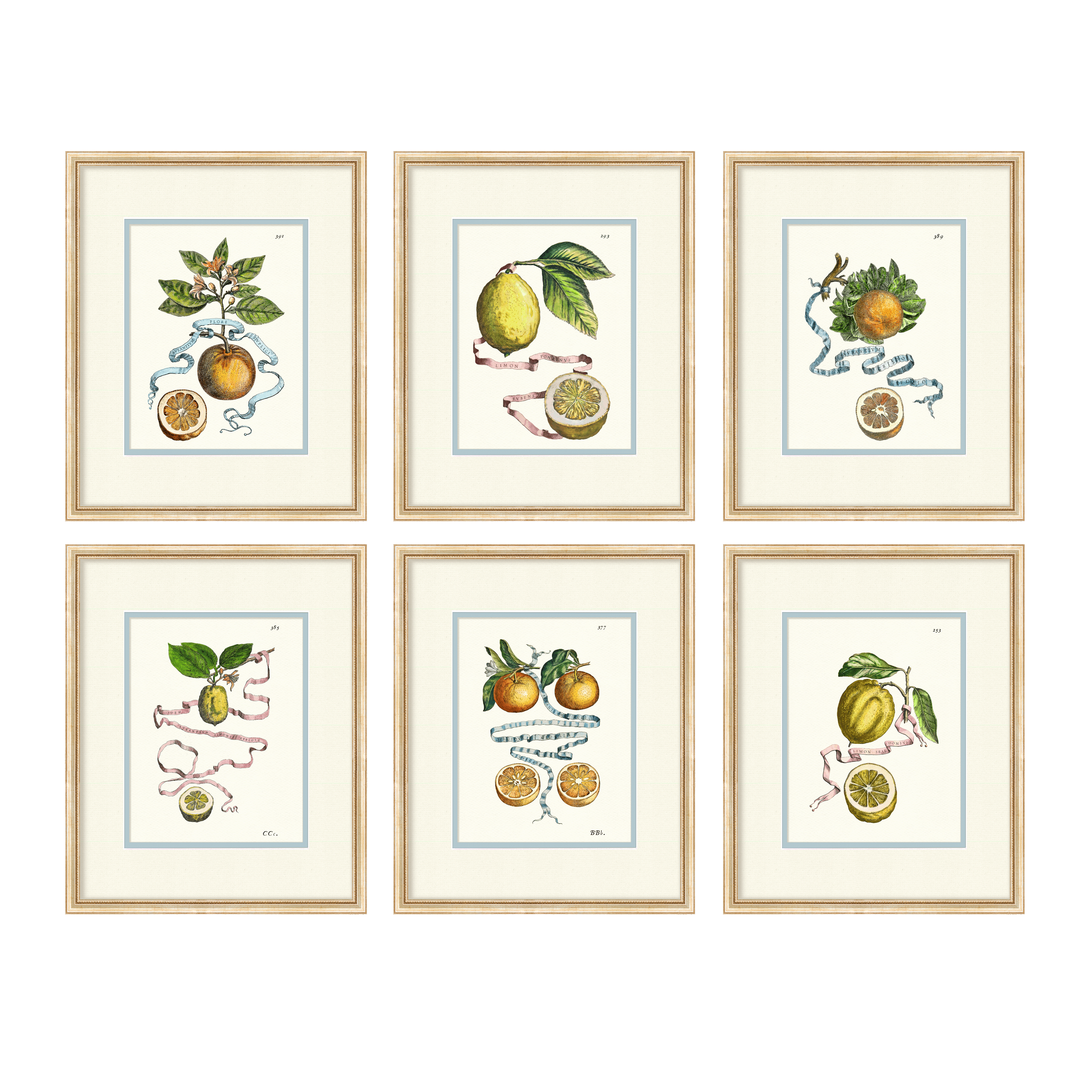 Citrus Botanicals - Curated Set of 6