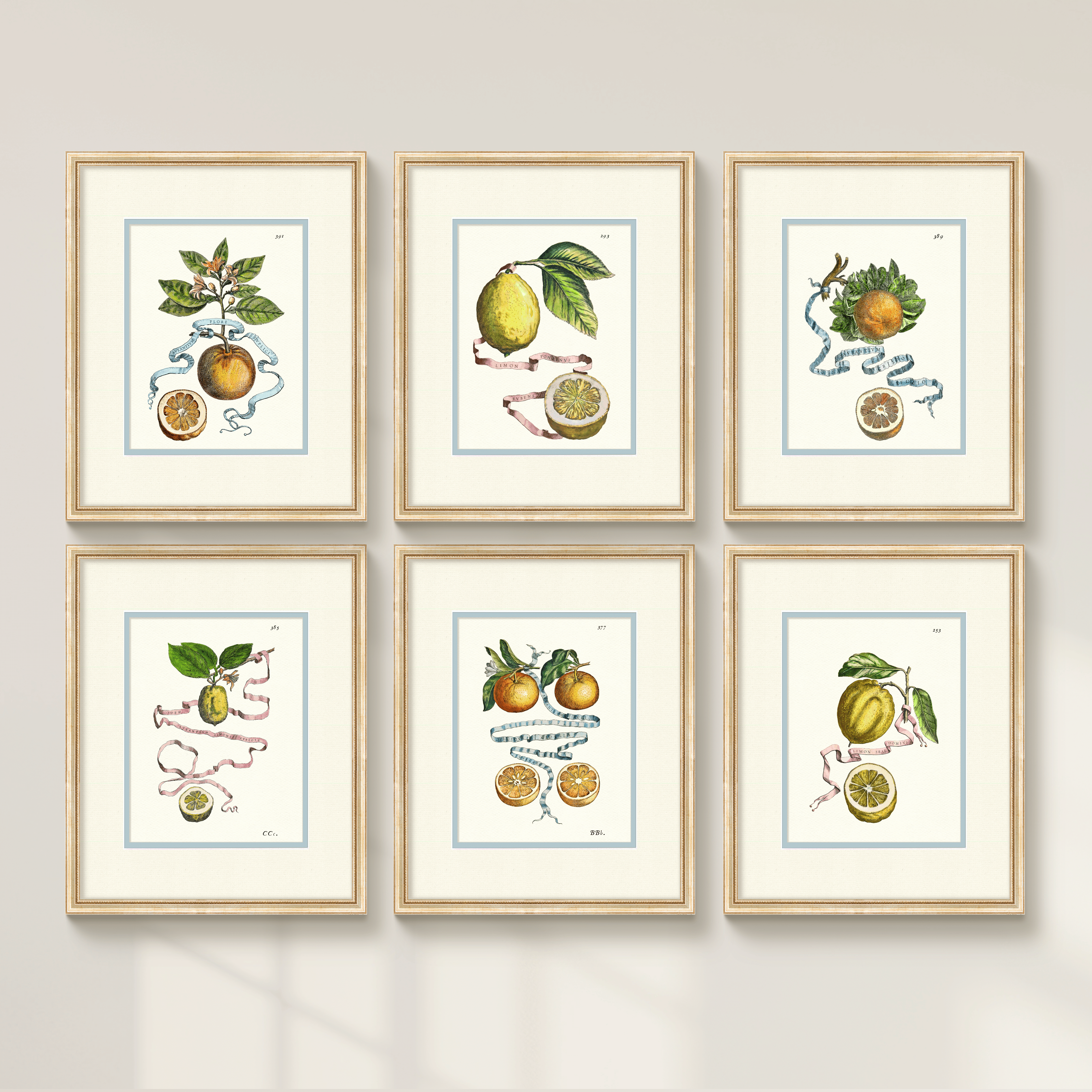 Citrus Botanicals - Orange No. 389