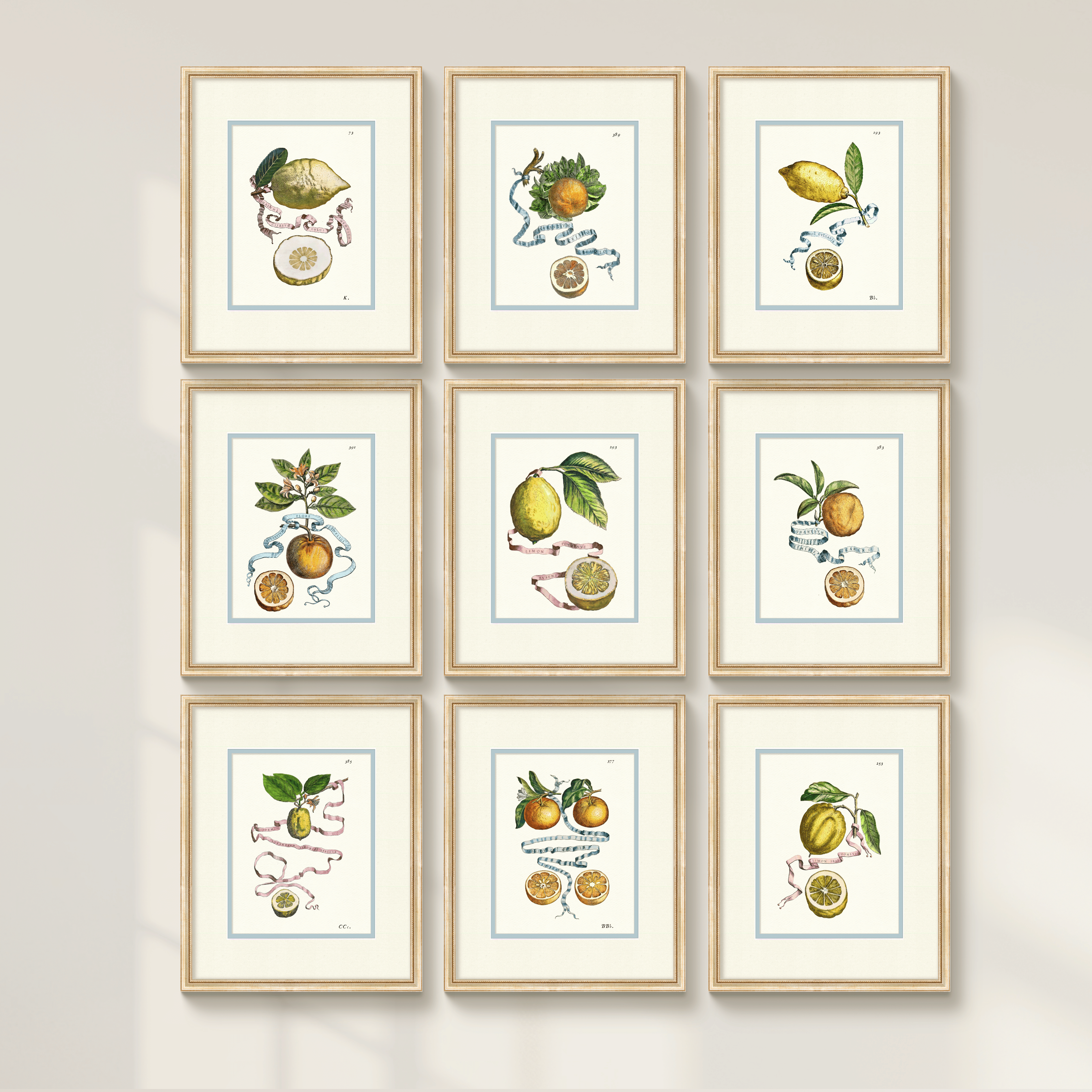 Citrus Botanicals - Orange No. 389