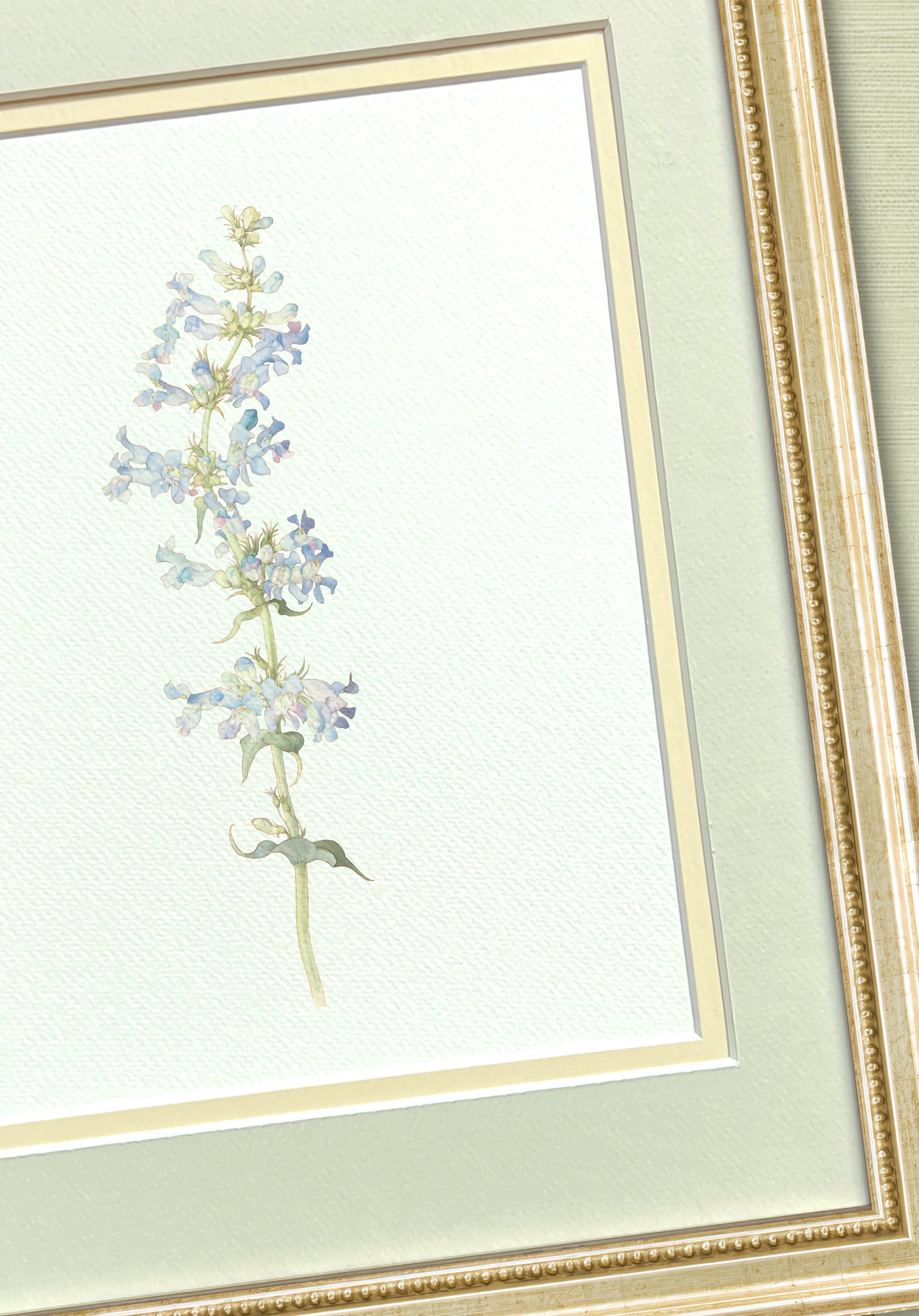 Sea Salt & Ecru Double Mat