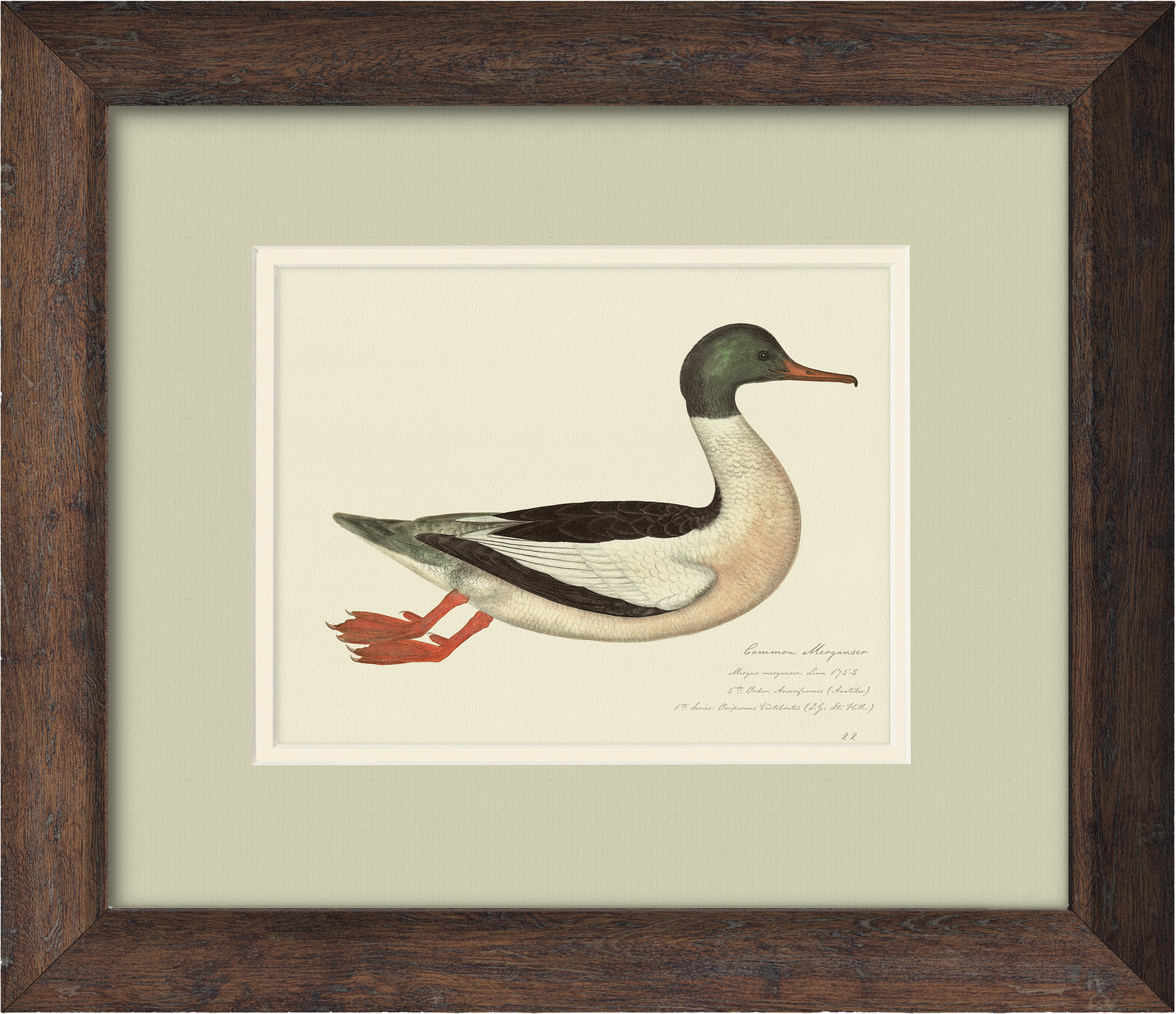 1⅜” Rustic Walnut Wood Frame